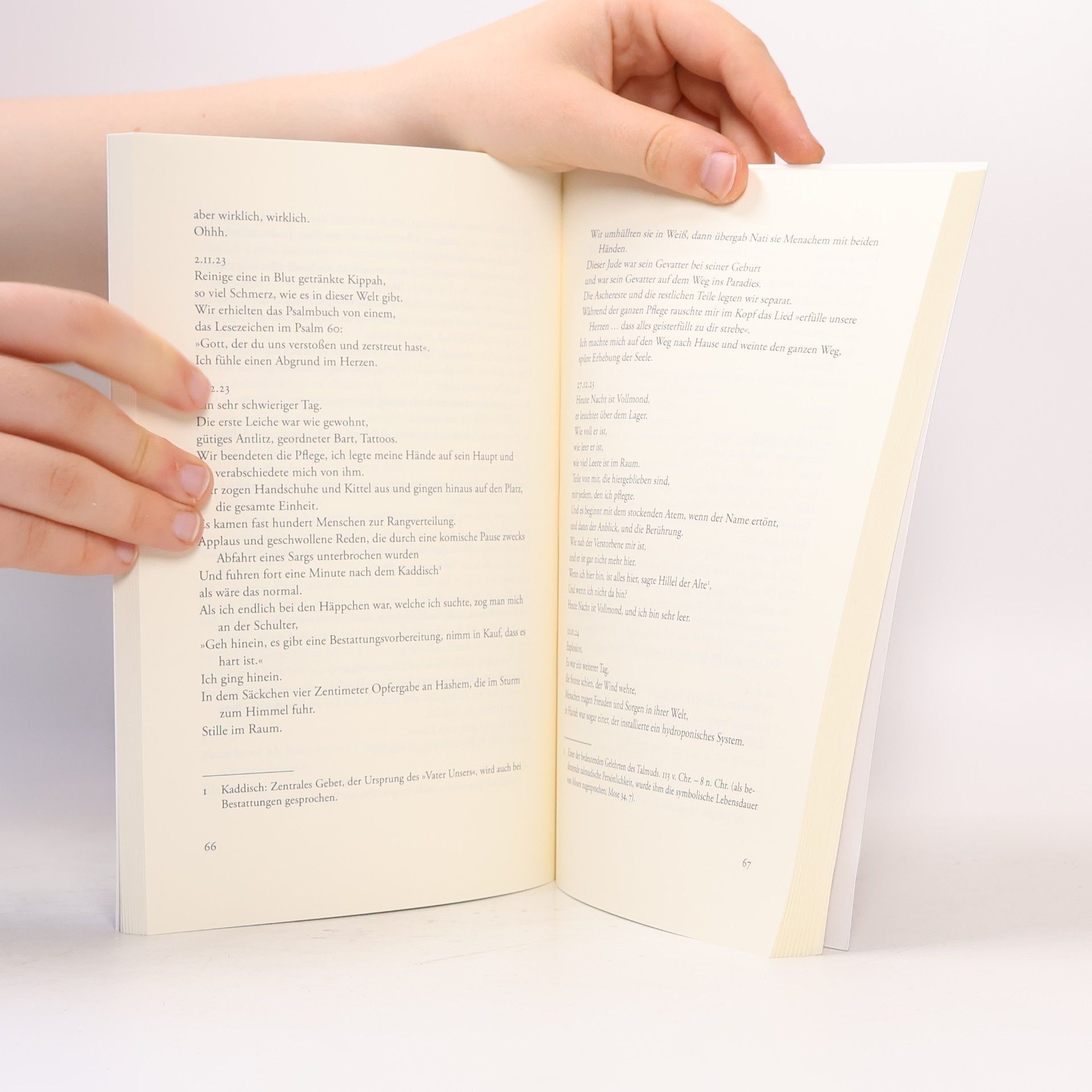 Agi Mishol Edition Exemplum: Sprache ist mein Schutzraum: Hebräische Lyrik nach dem 7. Oktober 2023 - Deutsch/Hebräisch