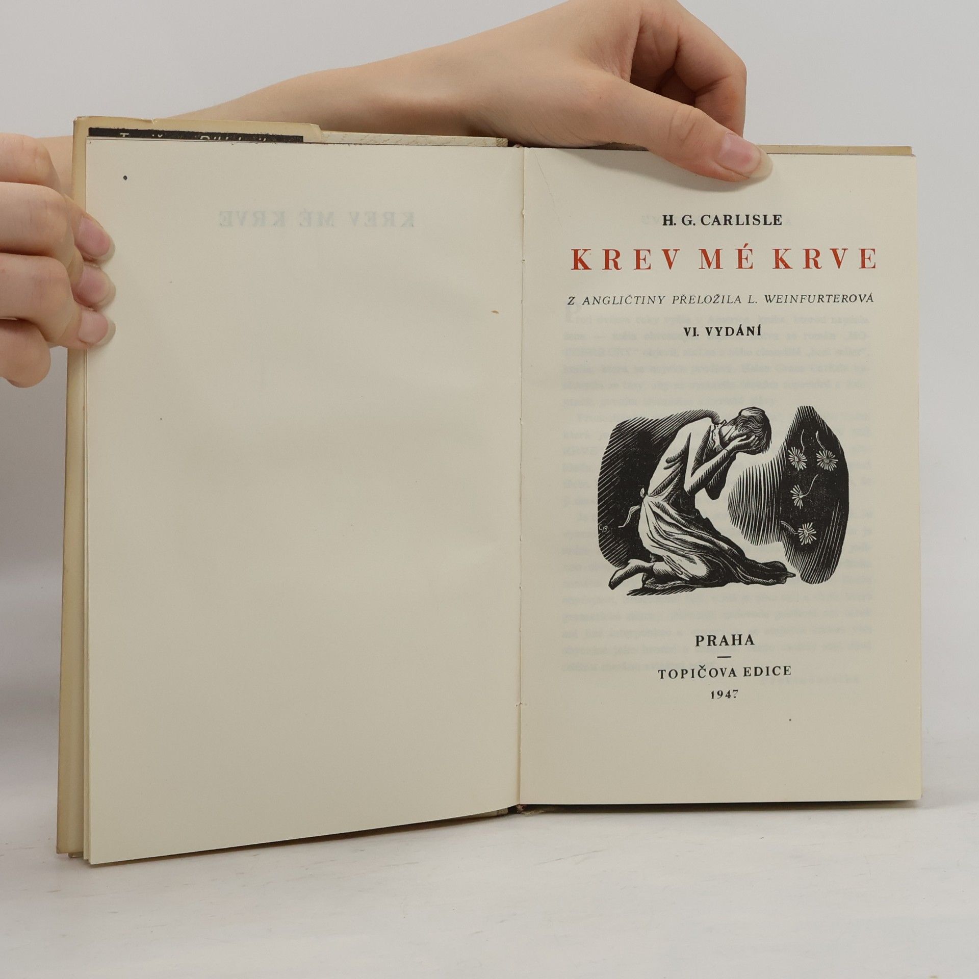 Helen Grace Carlisle Krev mé krve