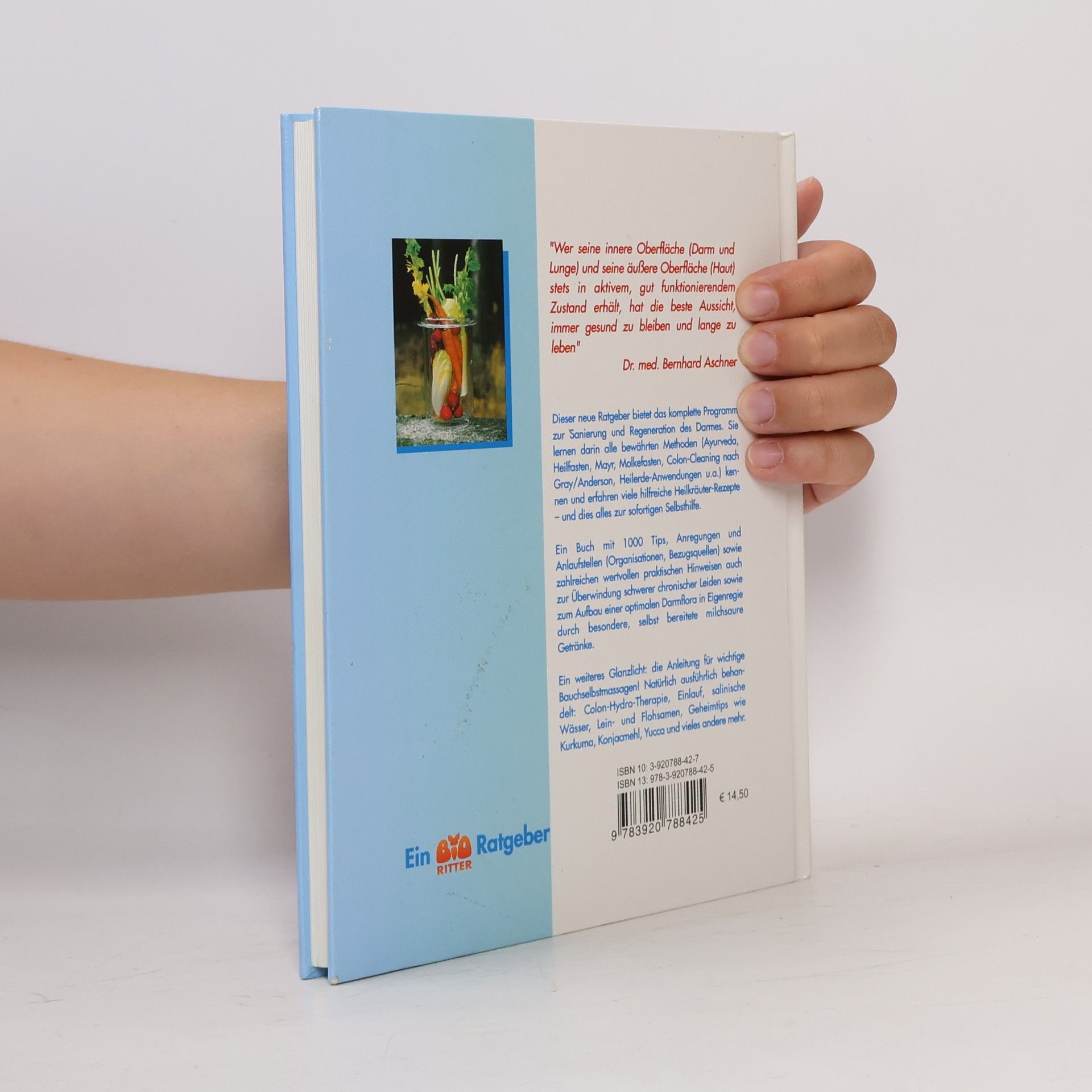 Norbert Messing Das große Buch der Darmreinigung