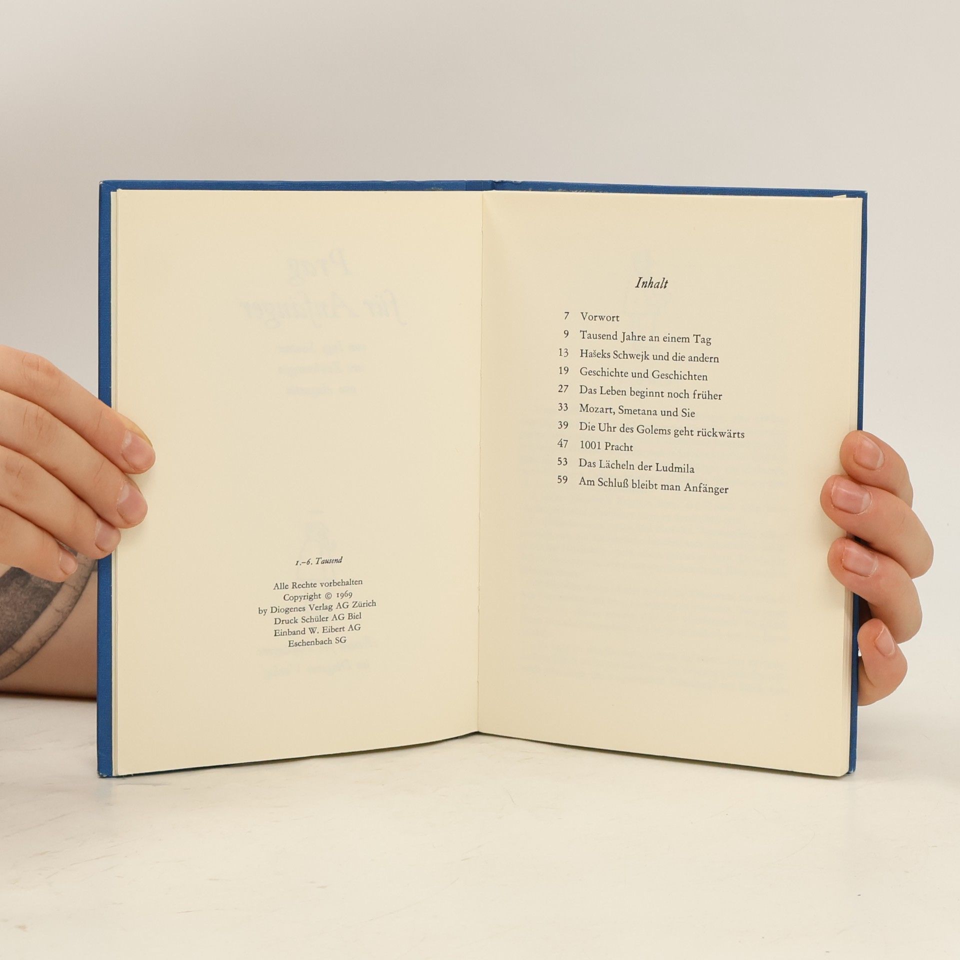 Autorenkollektiv Prag für Anfänger