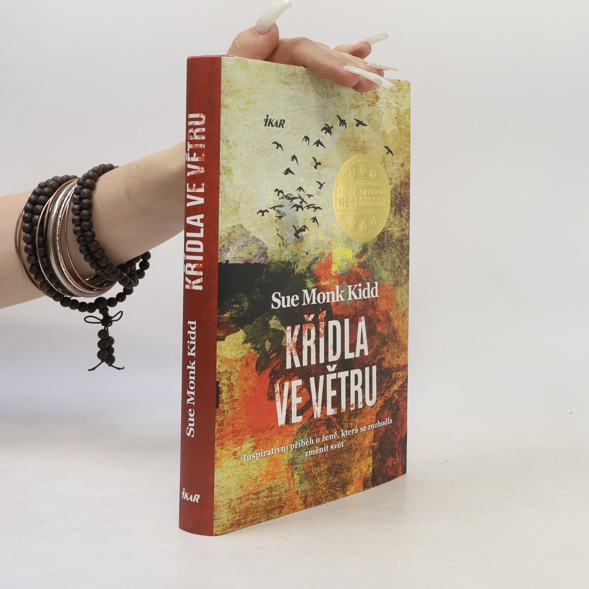 Sue Monk Kidd Křídla ve větru