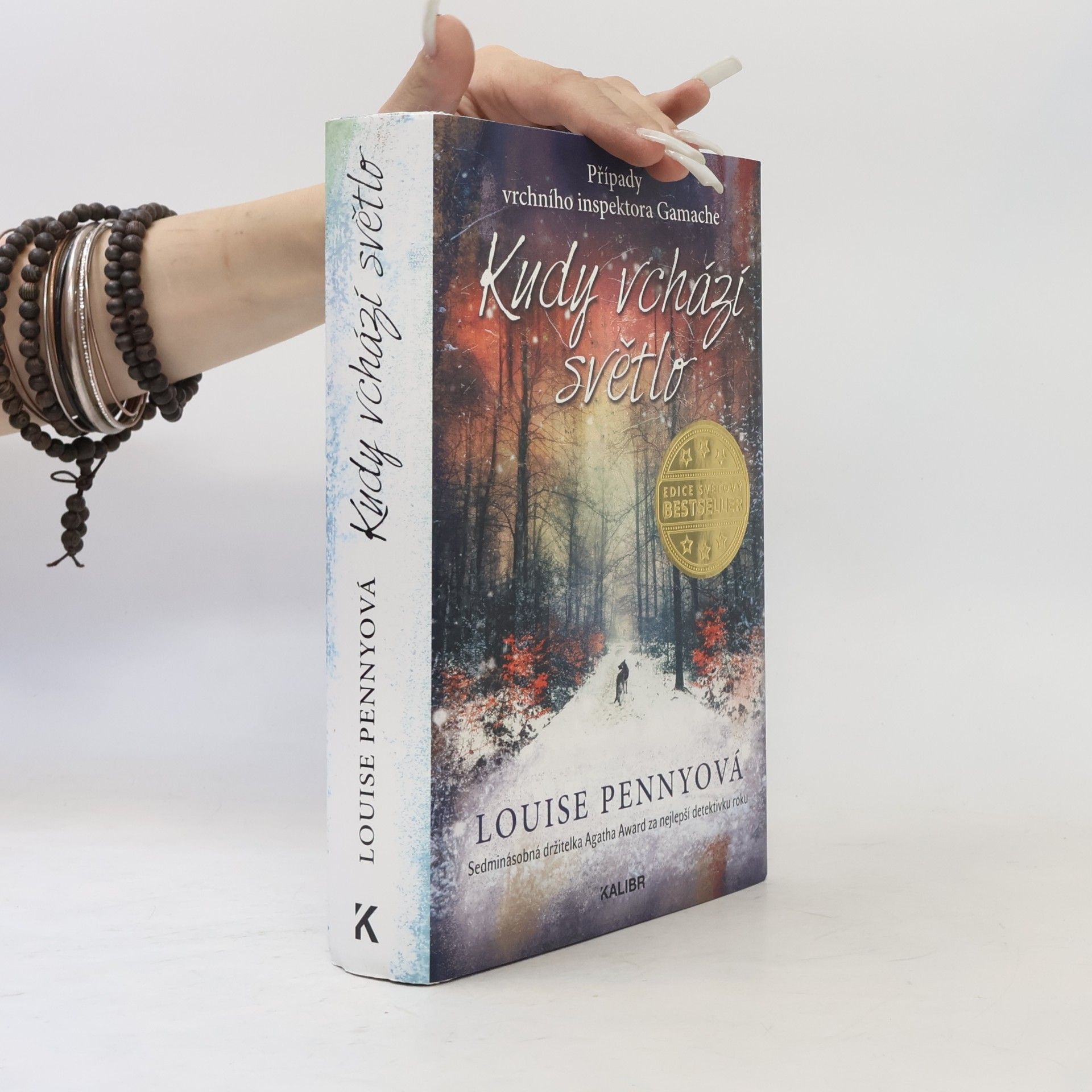 Louise Penny Kudy vchází světlo