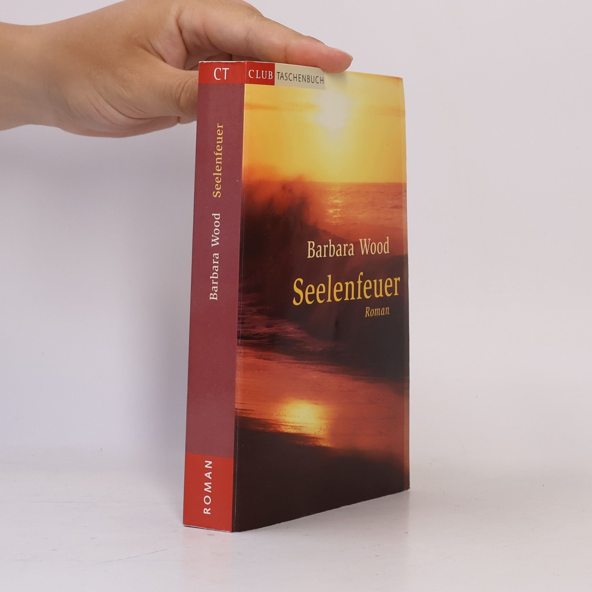 Barbara Wood Seelenfeuer
