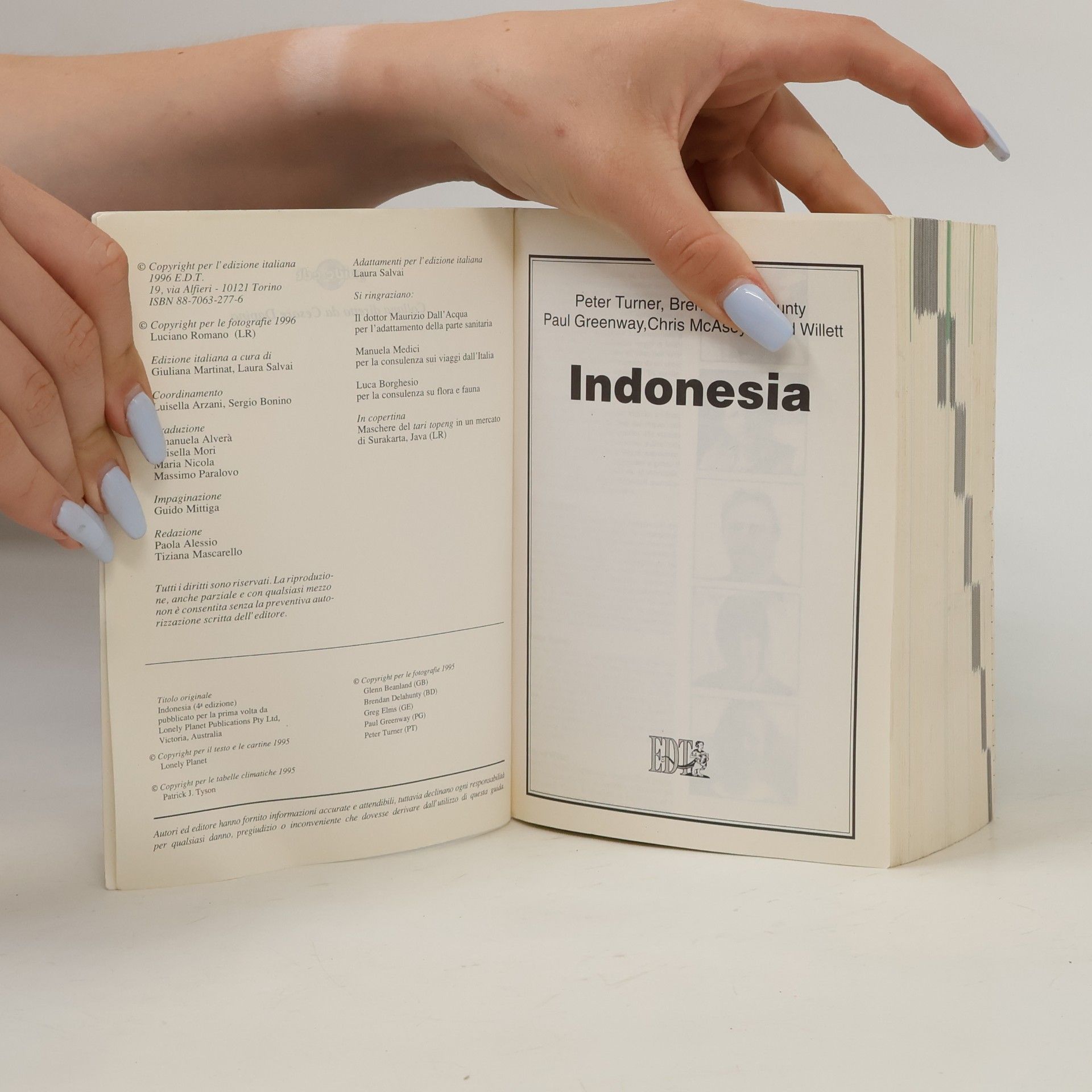 Peter Turner Indonesia