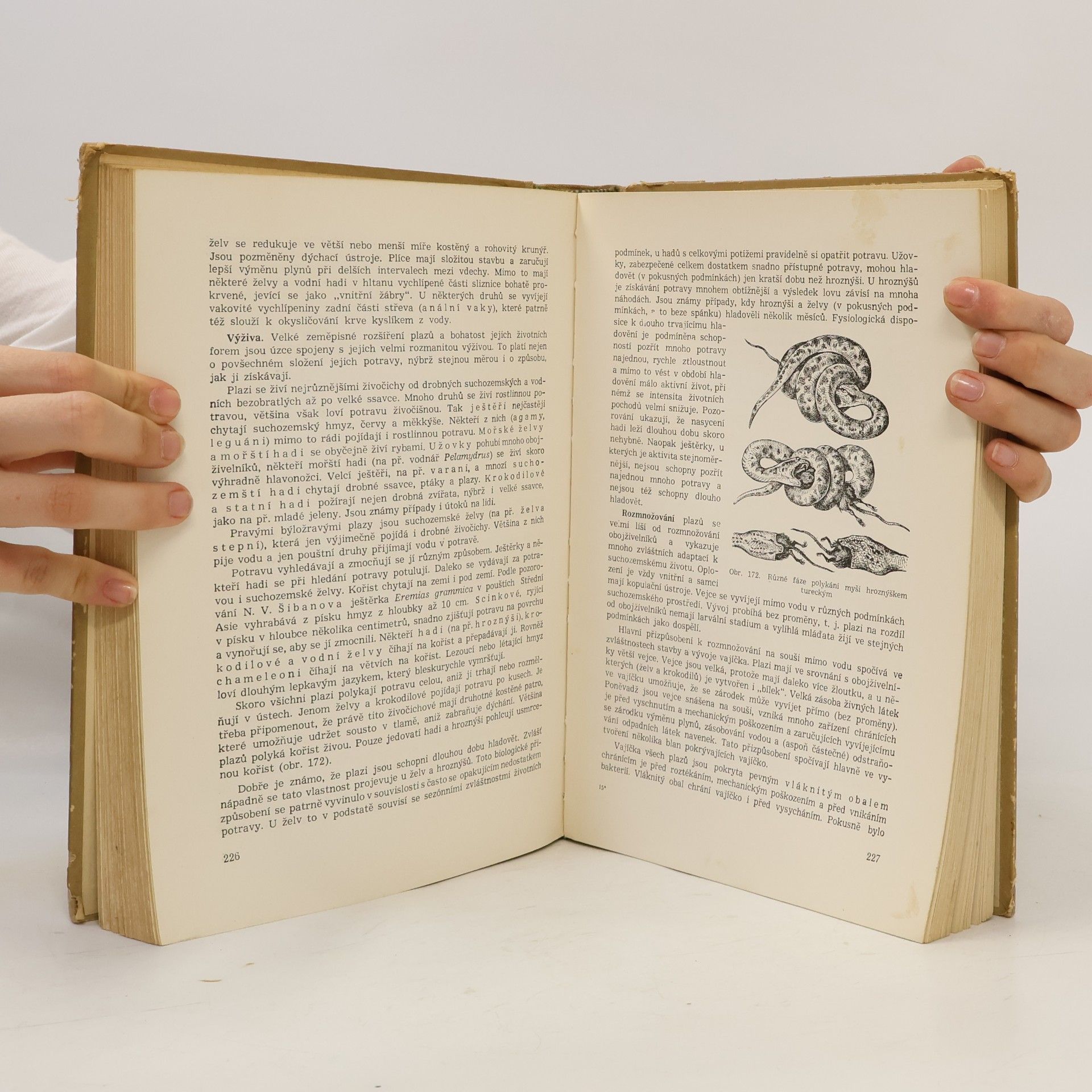 Sergej Pavlovič Naumov Zoologie obratlovců