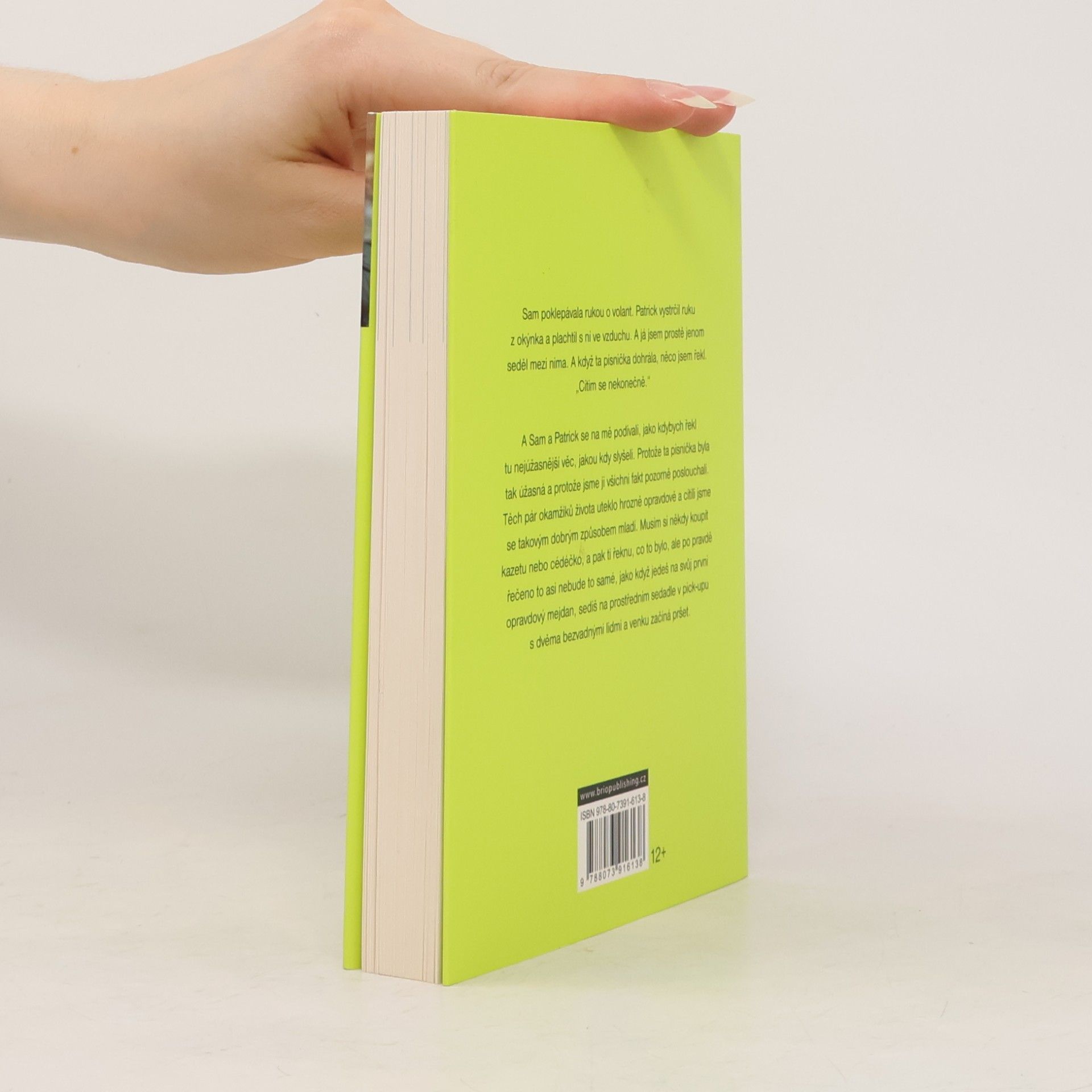 Stephen Chbosky Ten, kdo stojí v koutě