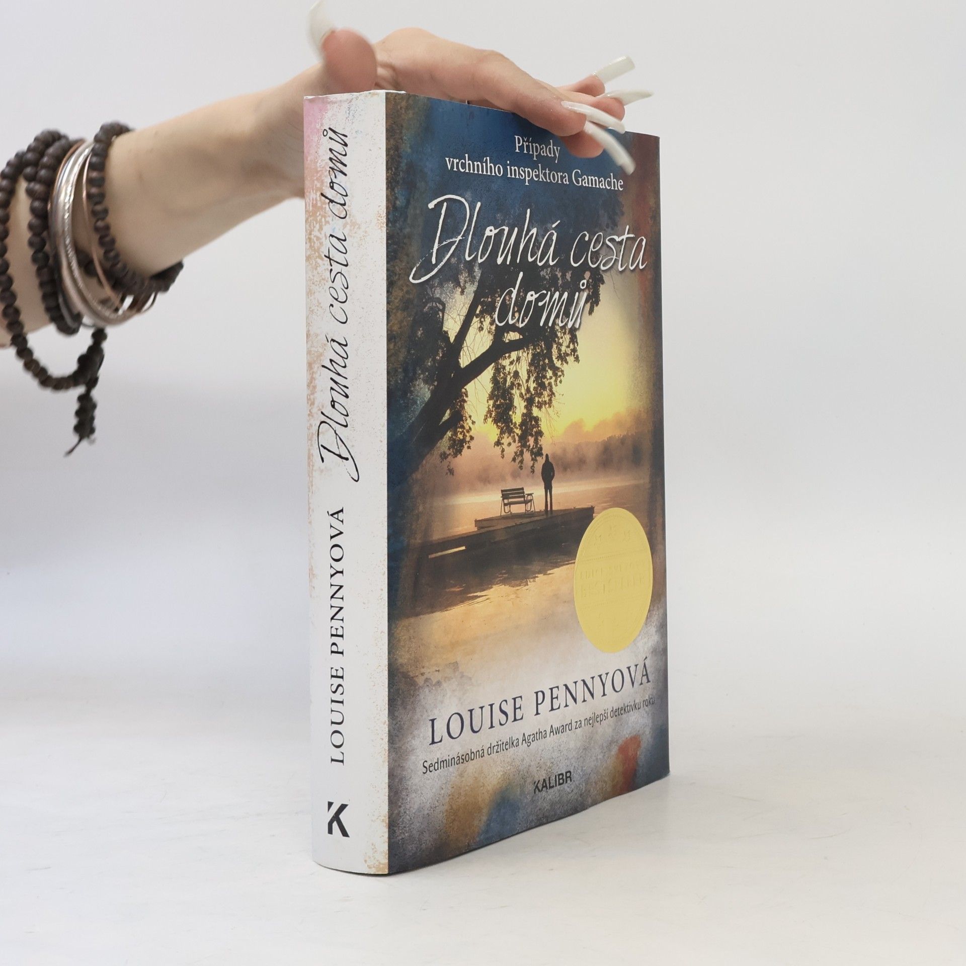 Louise Penny Dlouhá cesta domů