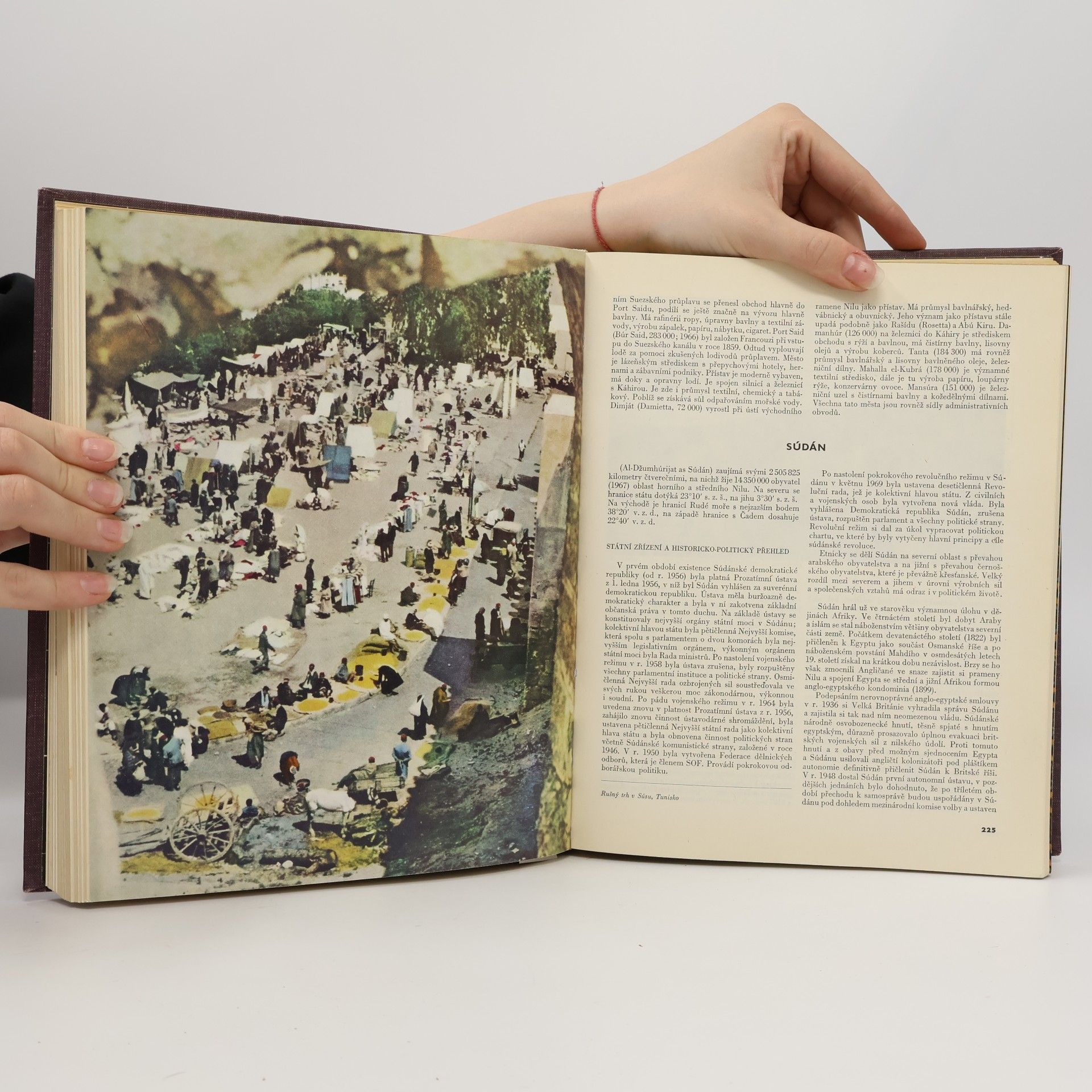Collectif d'auteurs Zeměpis světa. Afrika