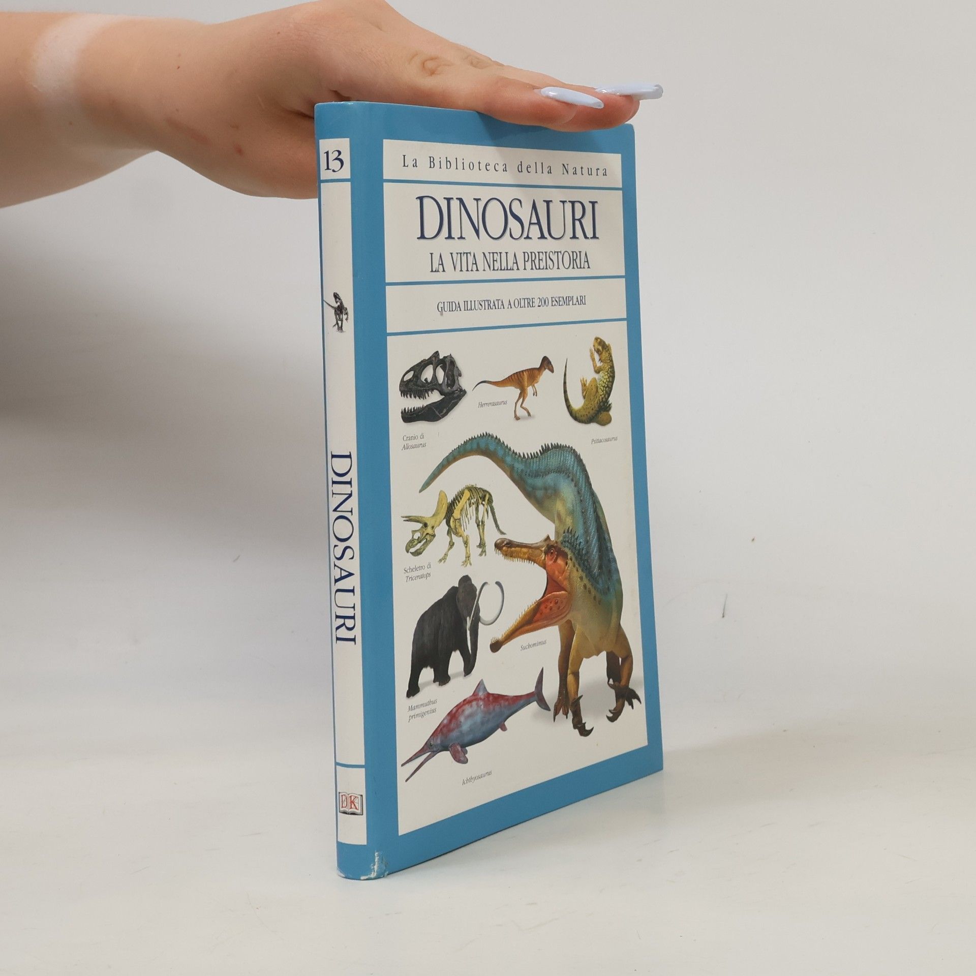 Autorenkollektiv Dinosauri