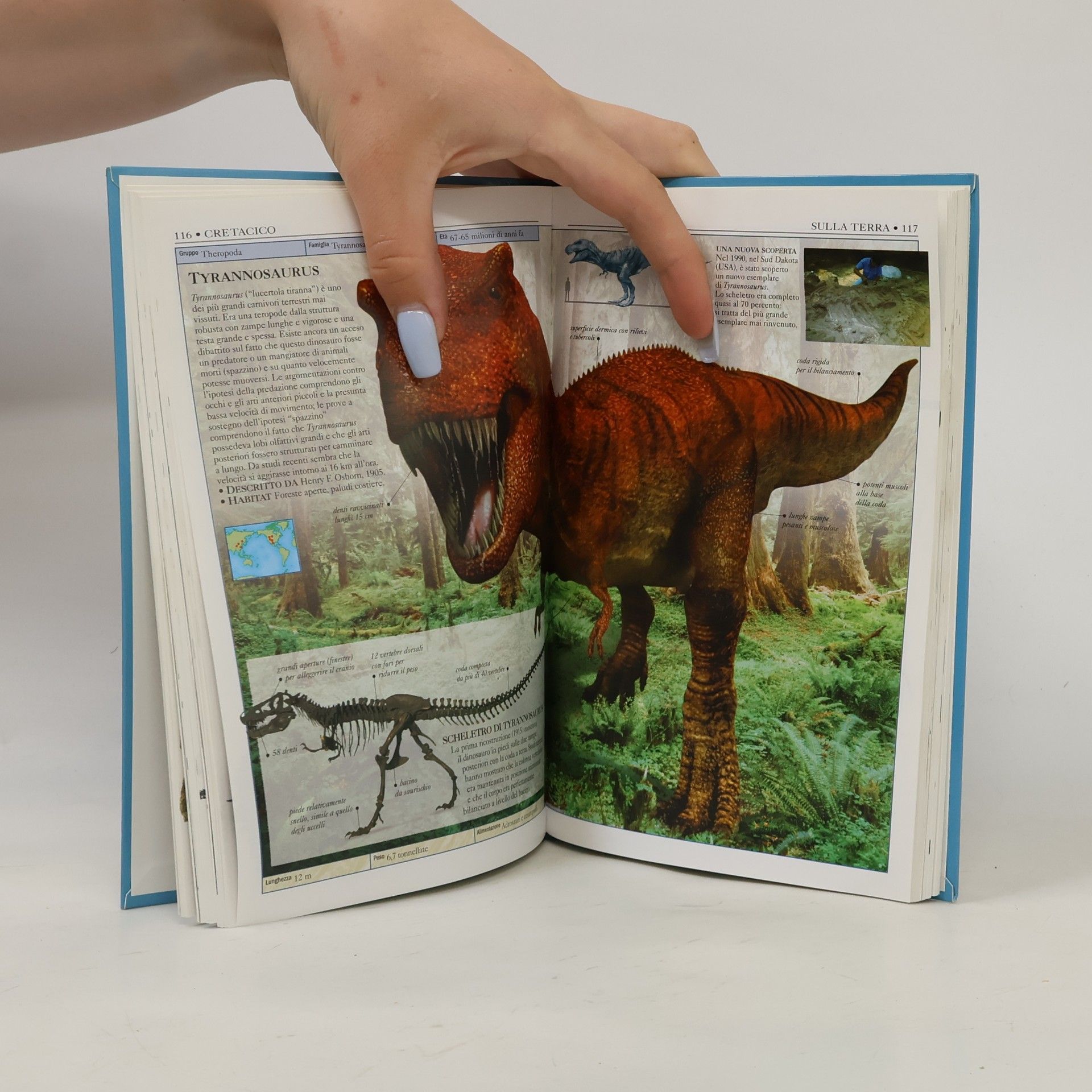Autorenkollektiv Dinosauri