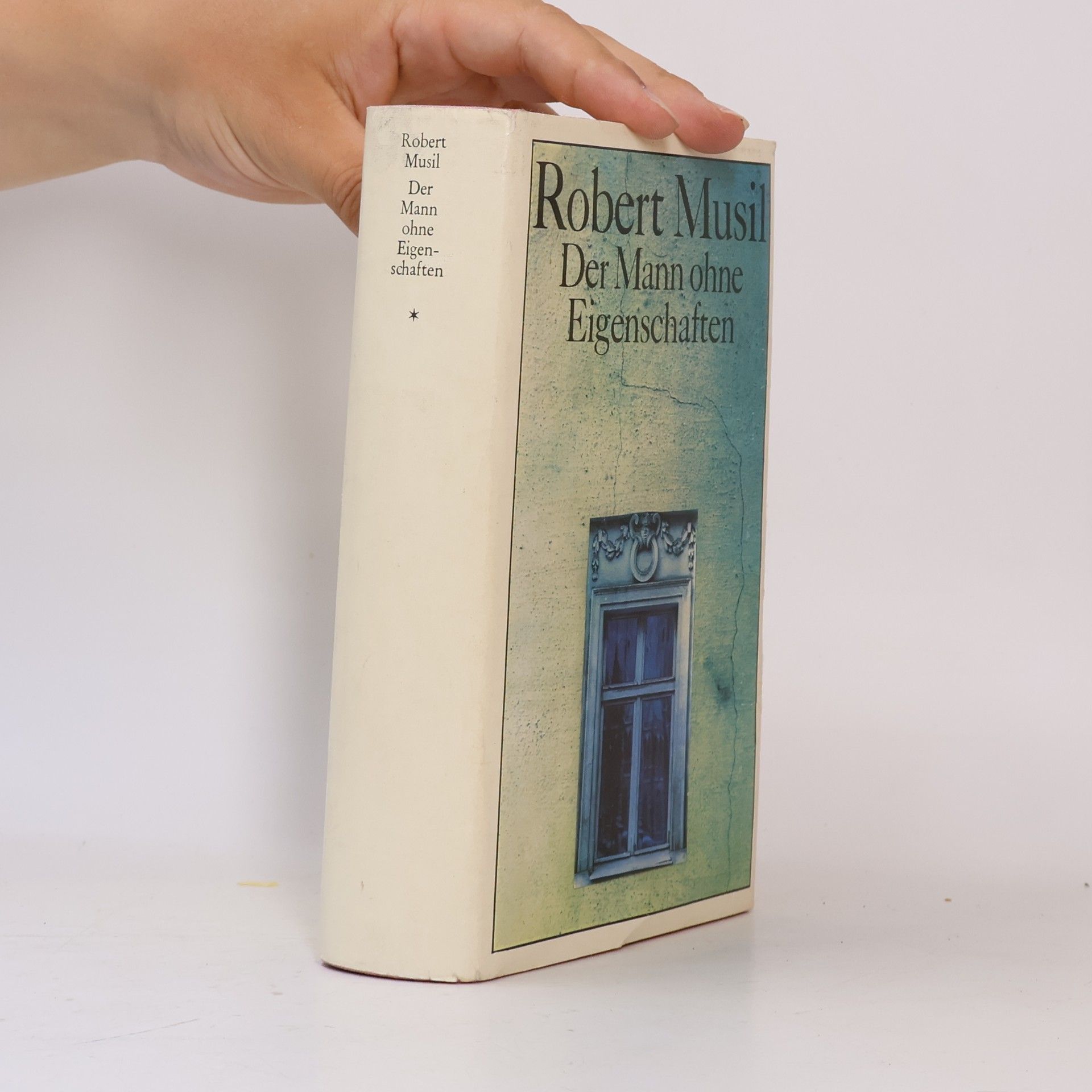 Robert Musil Der Mann ohne Eigenschaften