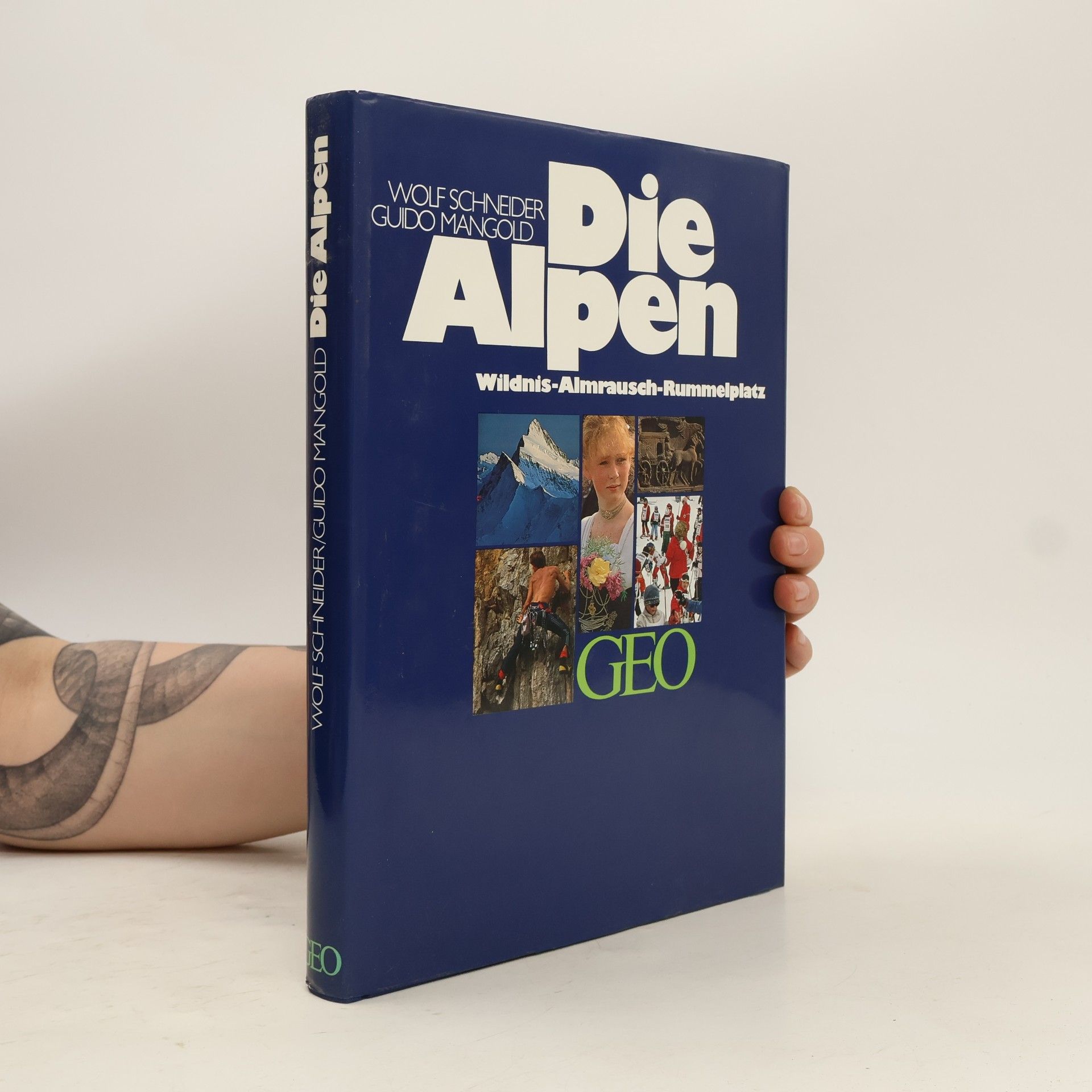 Wolf Schneider Die Alpen