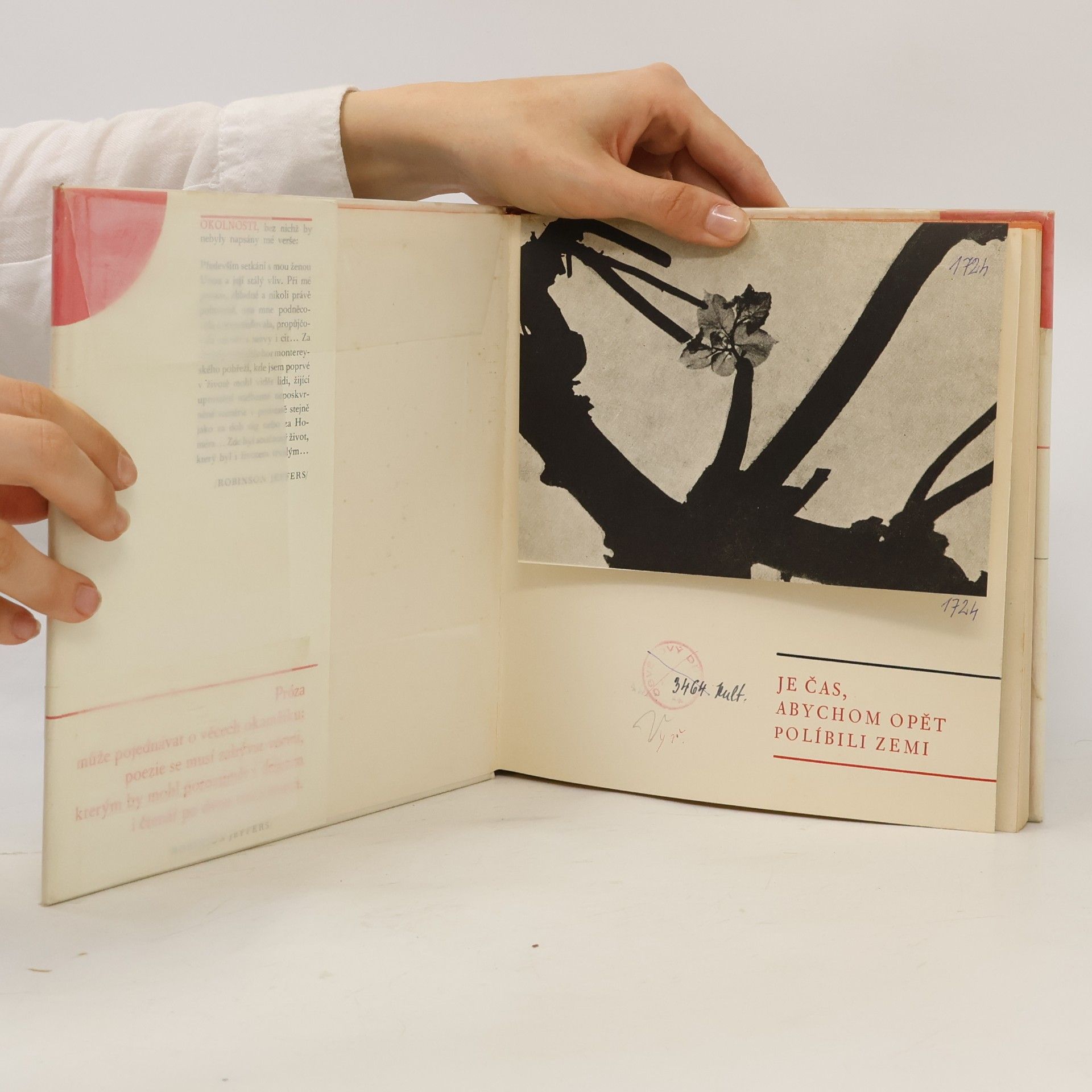 Robinson Jeffers Básně z Jestřábí věže