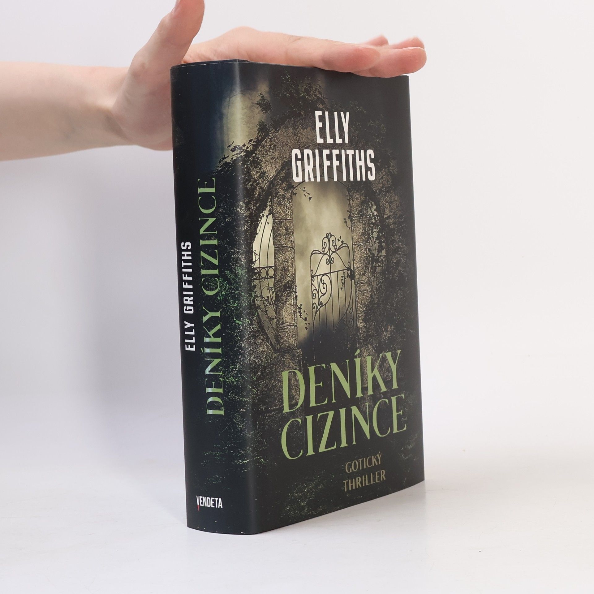 Deníky cizince
