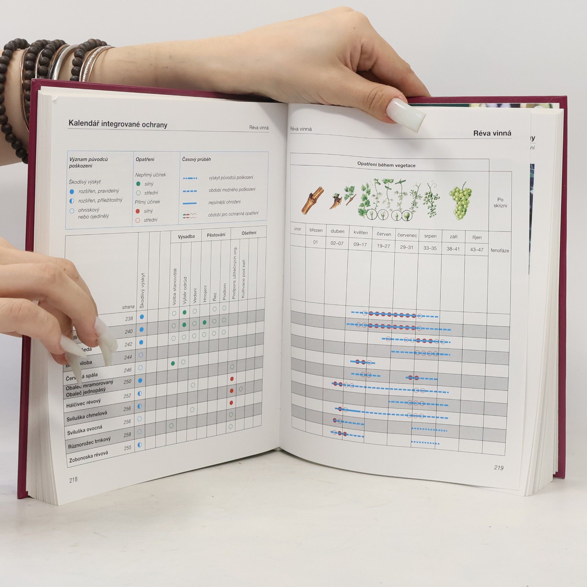 M. Hluchý Obrazový atlas chorob a škůdců ovocných dřevin a révy vinné