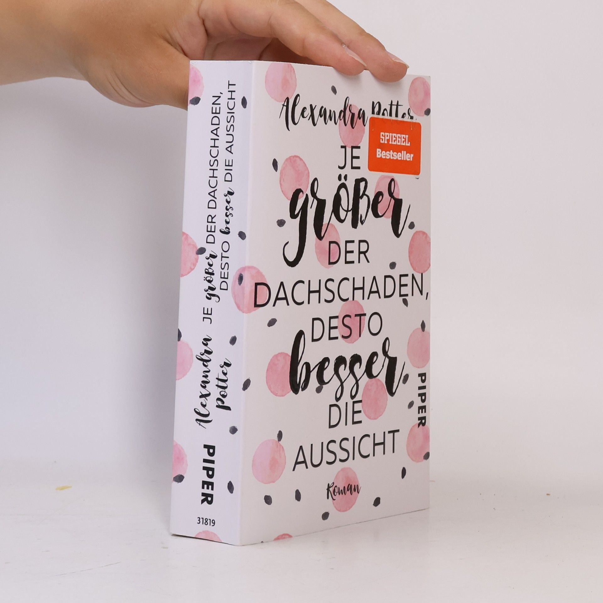Alexandra Potter Je größer der Dachschaden, desto besser die Aussicht