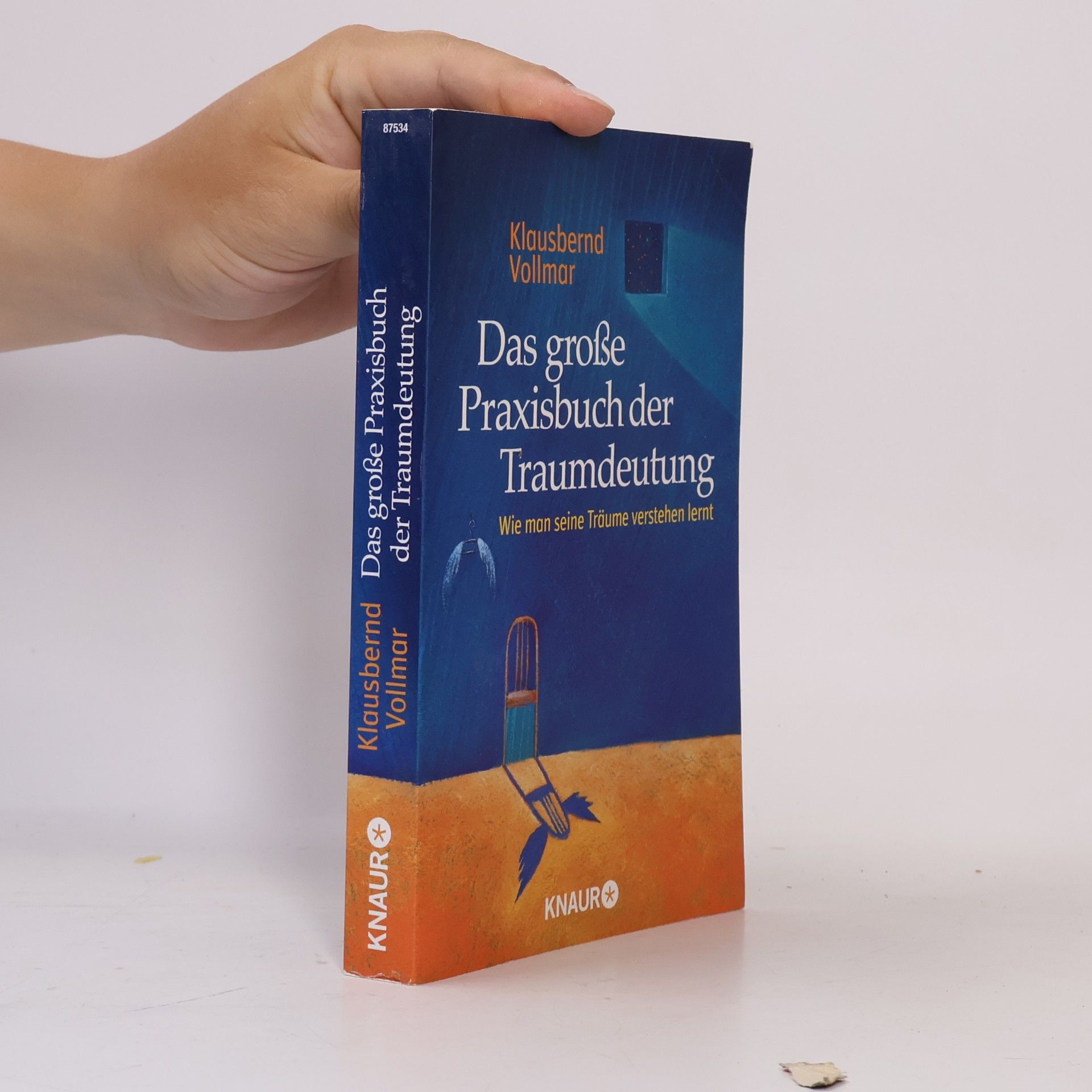 Klausbernd Vollmar Das große Praxisbuch der Traumdeutung