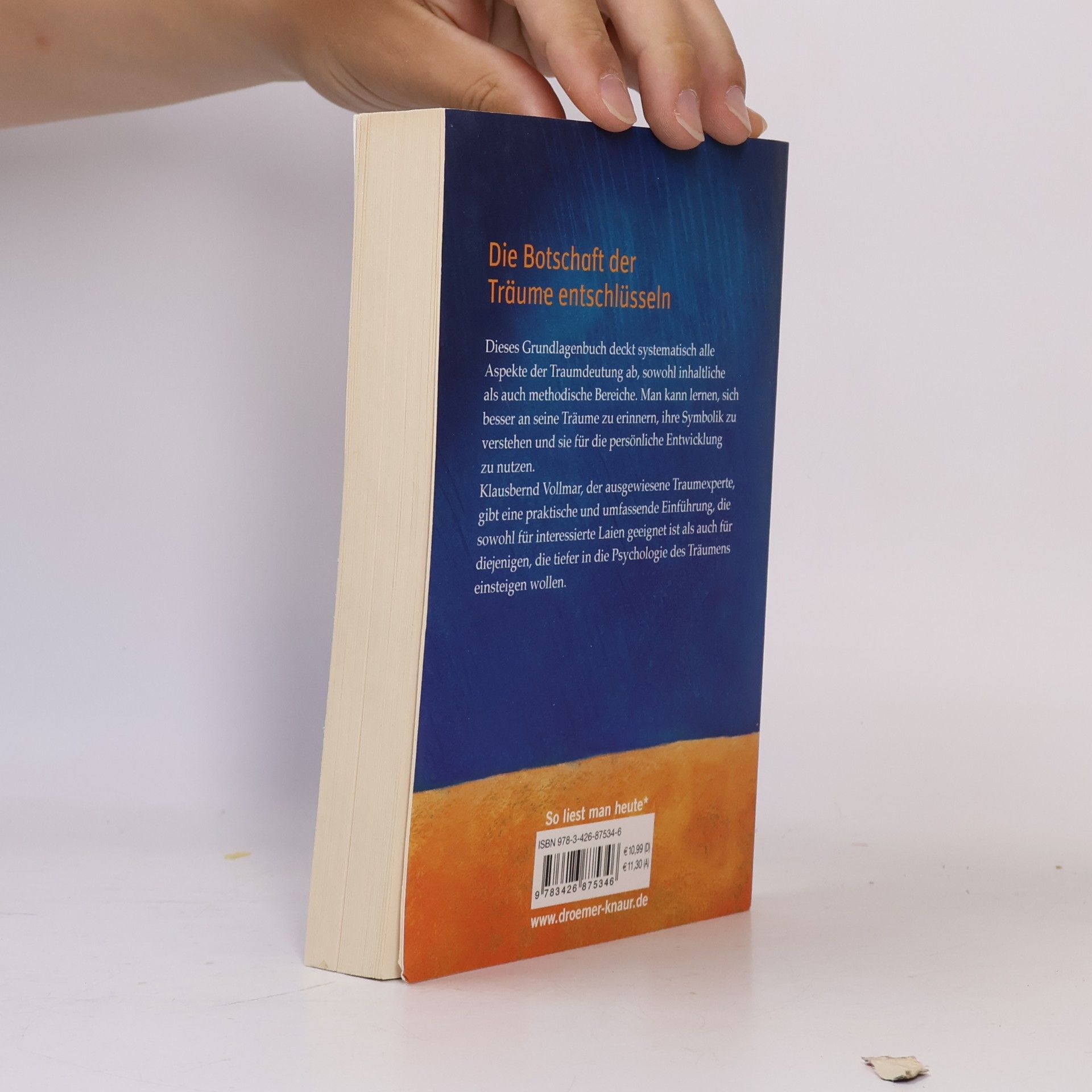Klausbernd Vollmar Das große Praxisbuch der Traumdeutung