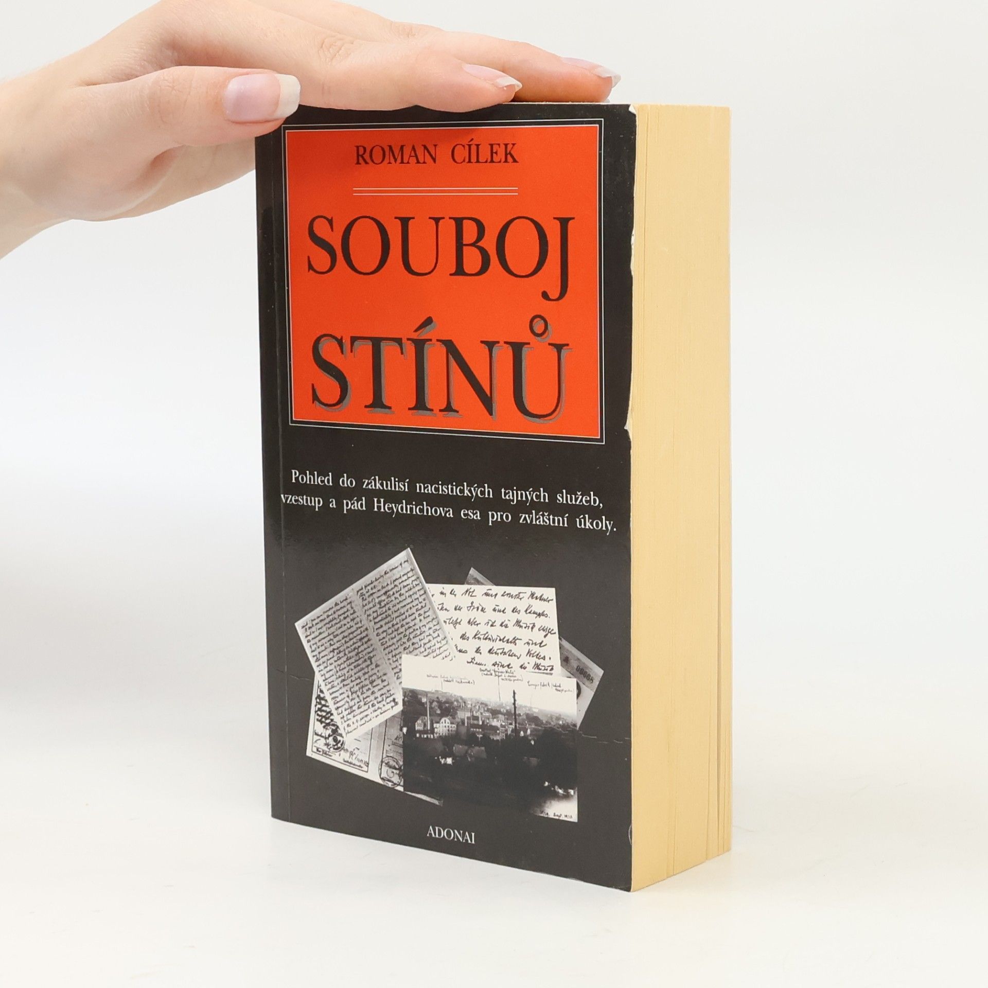 Roman Cílek Souboj stínů