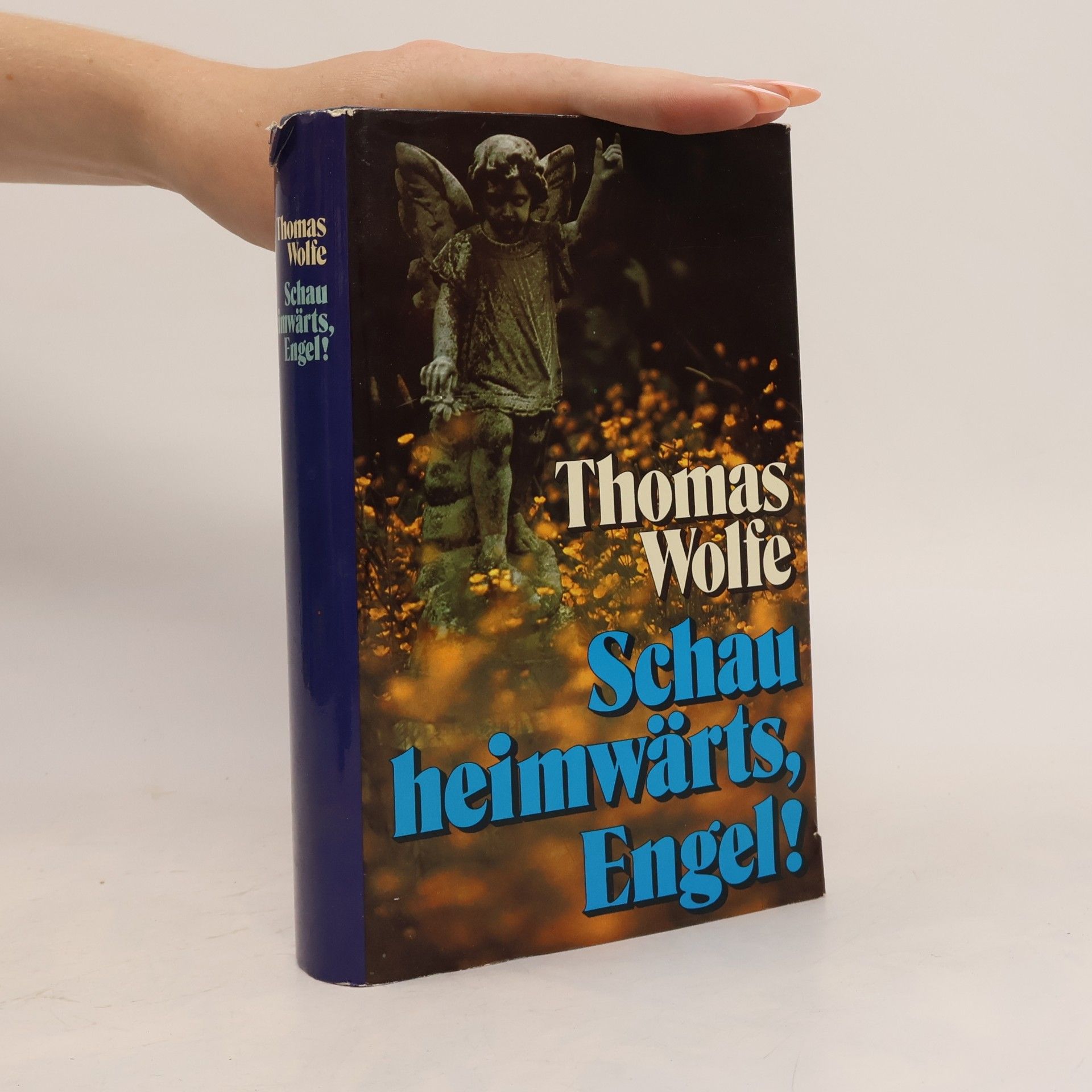 Thomas Wolfe Schau Heimwärts, Engel!