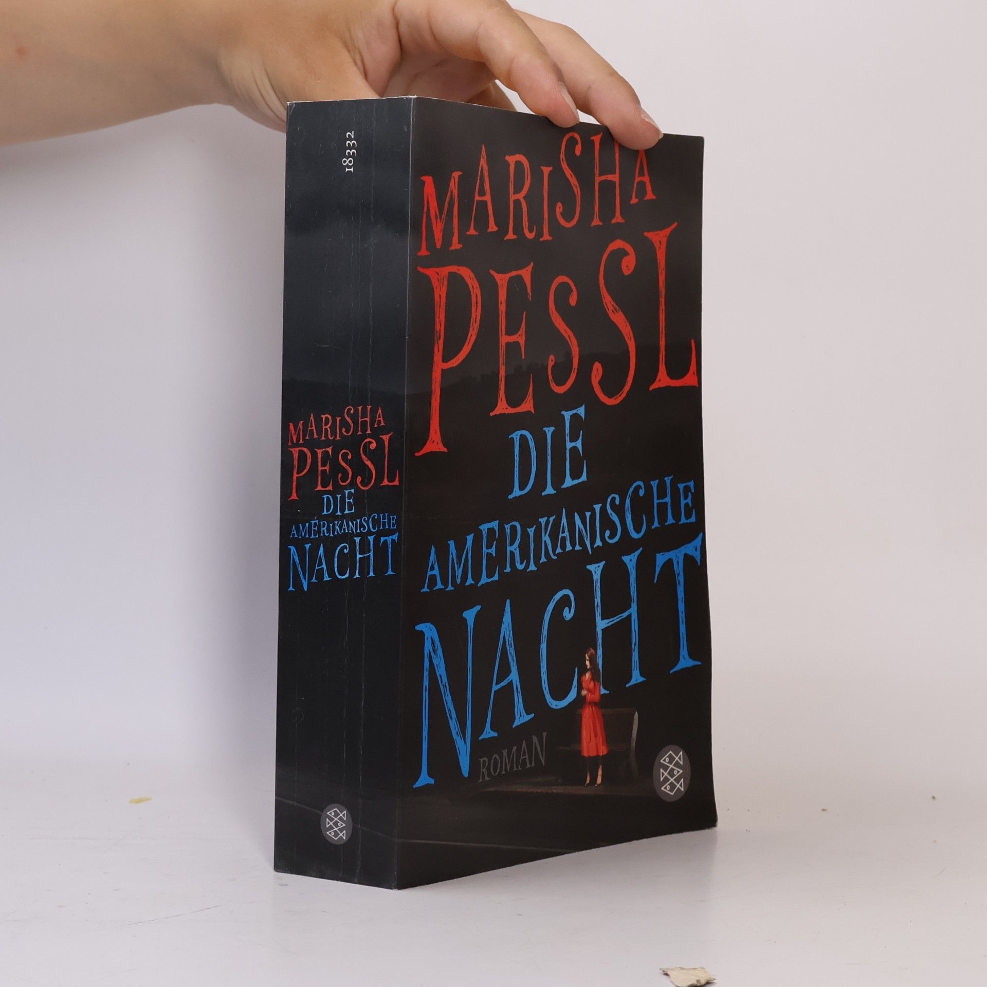 Marisha Pessl Die amerikanische Nacht