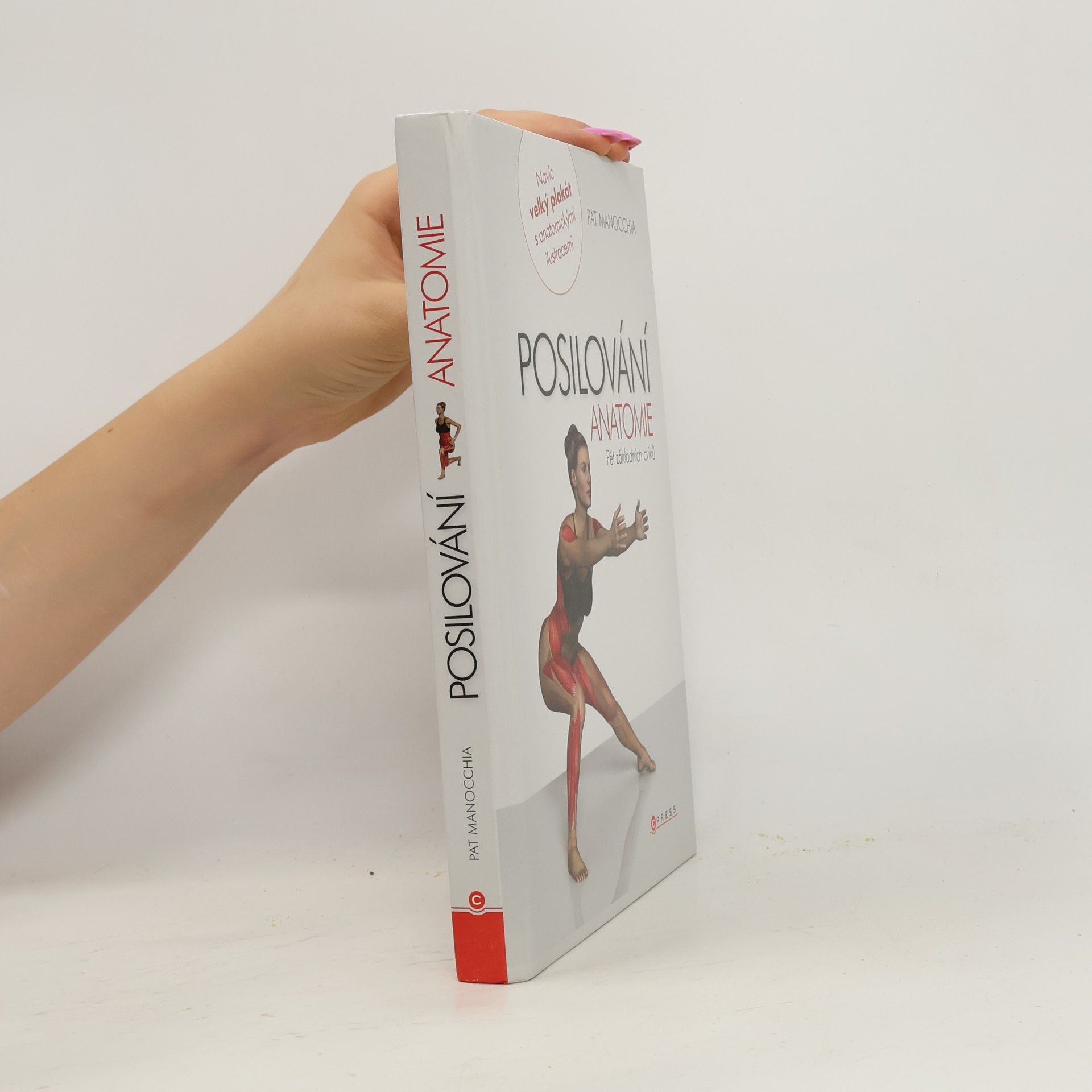 Pat Manocchia Posilování - anatomie. Pět základních cviků