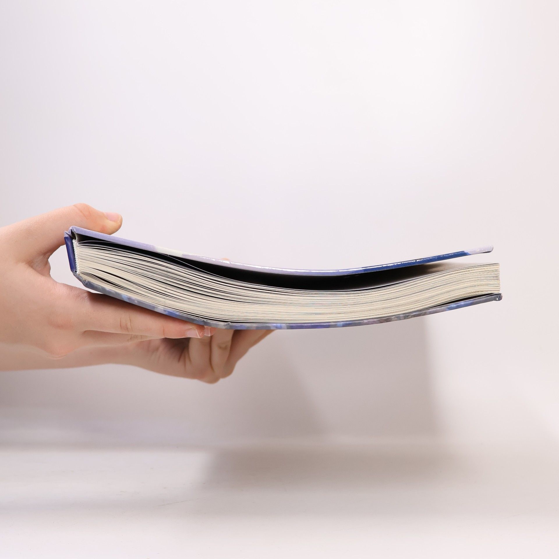 Autorenkollektiv Chrámy a kláštery : nejkrásnější a nejzajímavější