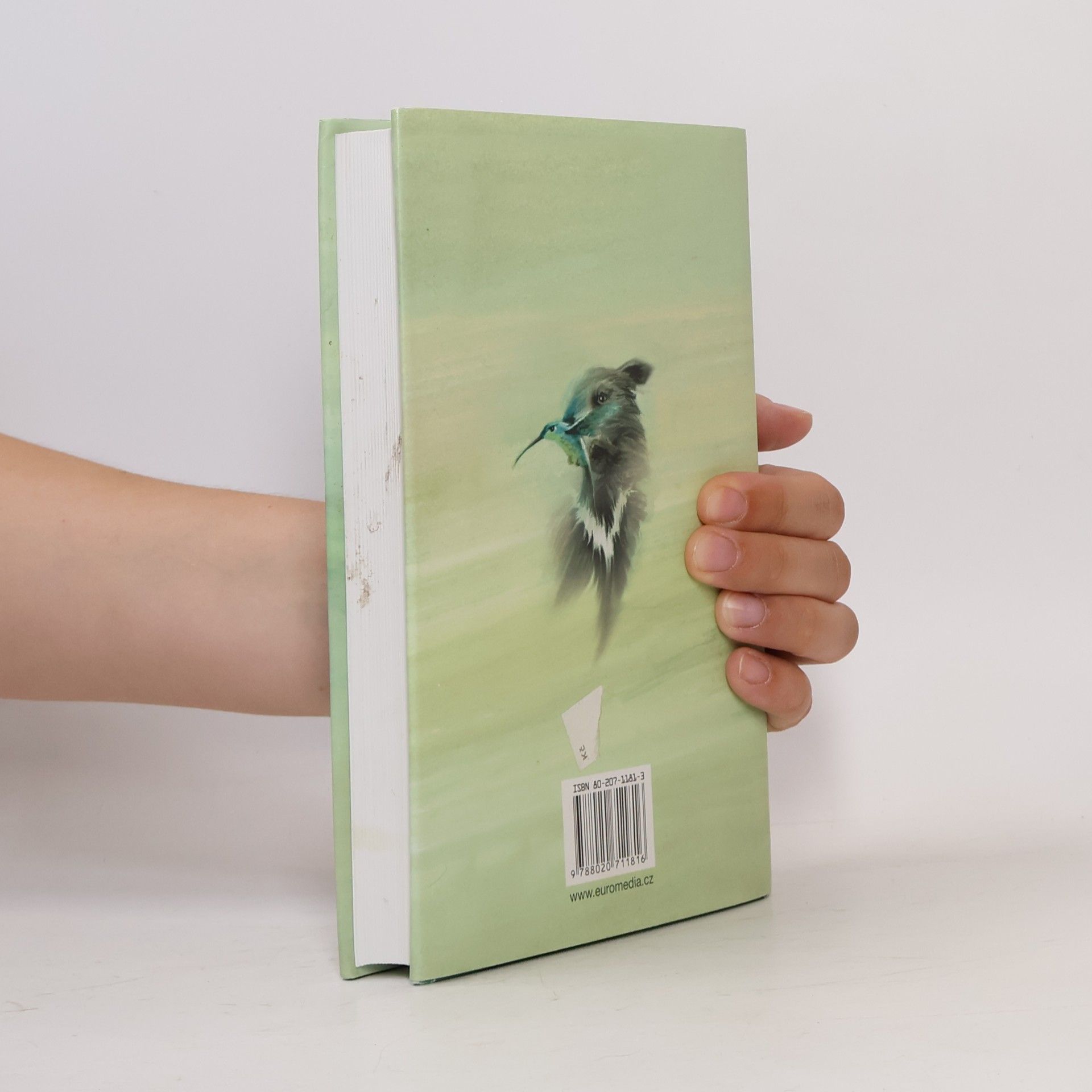 John Irving Svobodu medvědům