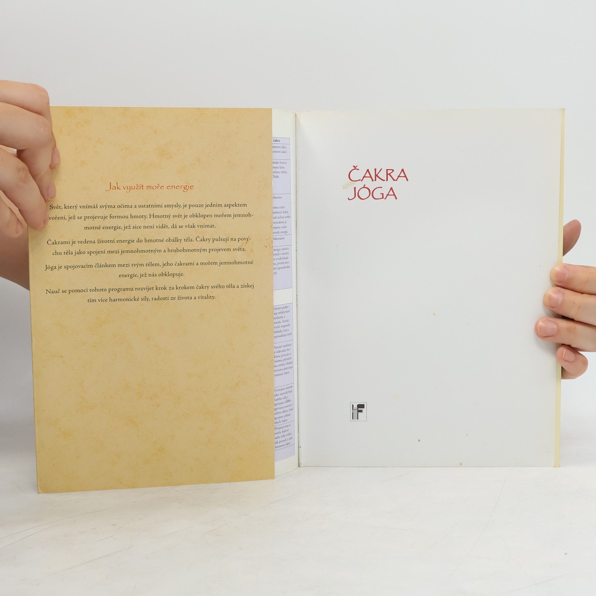 Birgit Feliz Carrasco Čakra jóga. Úplný program k oživení a léčbě energetických center