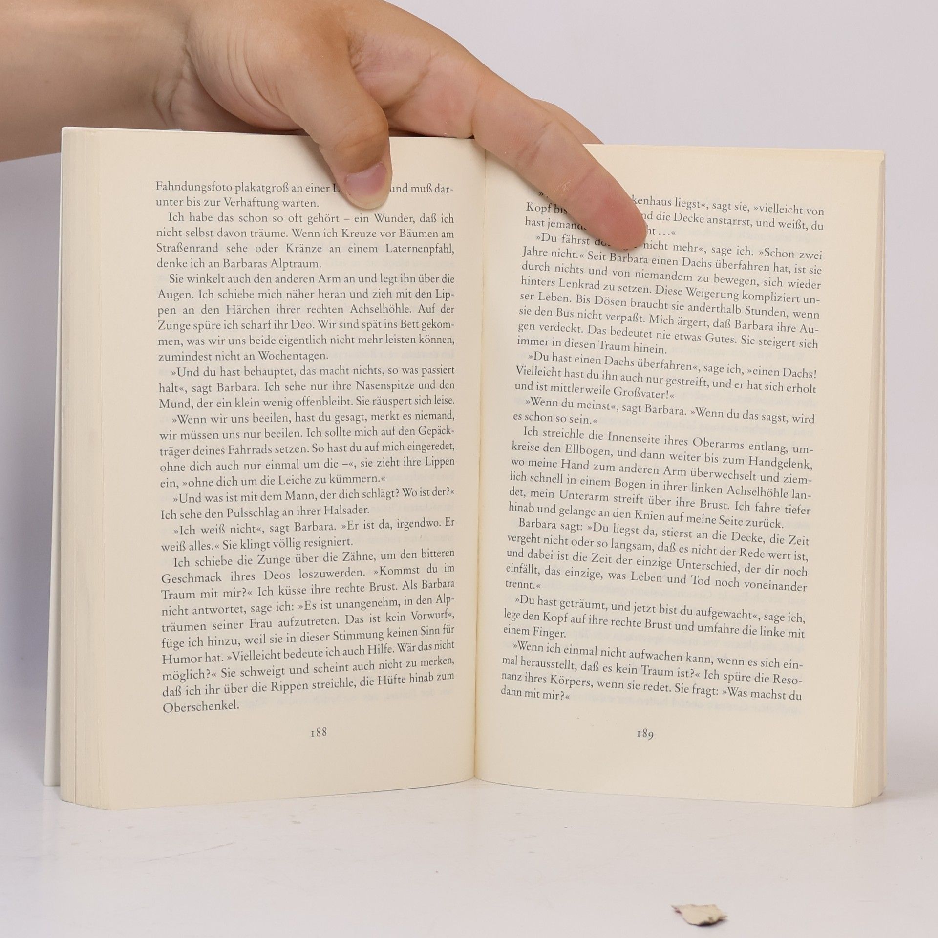 Ingo Schulze Simple Storys