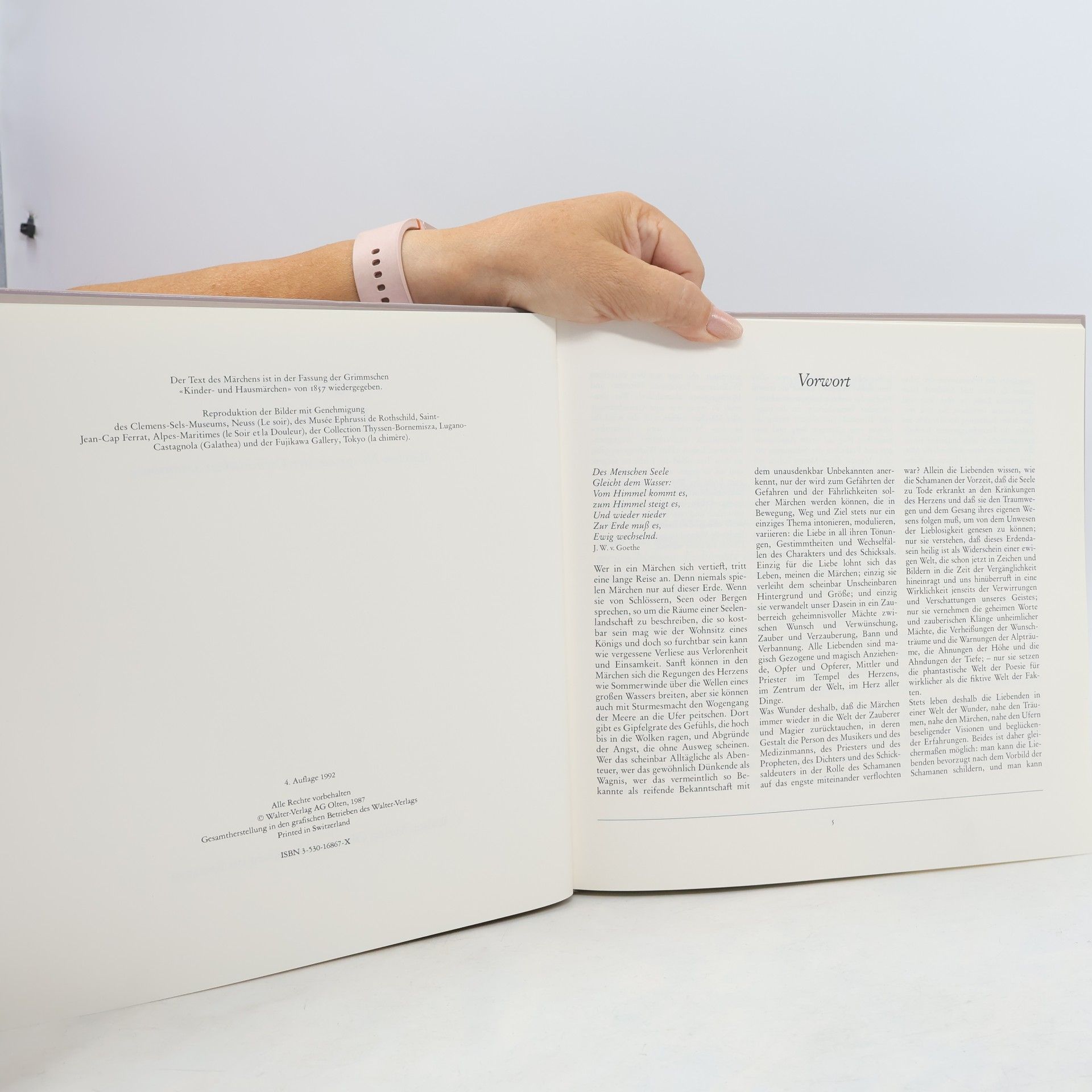 Eugen Drewermann Der Trommler