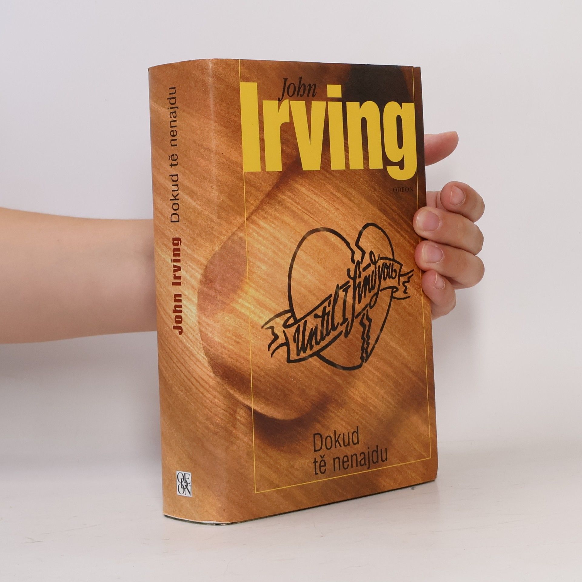 John Irving Dokud tě nenajdu