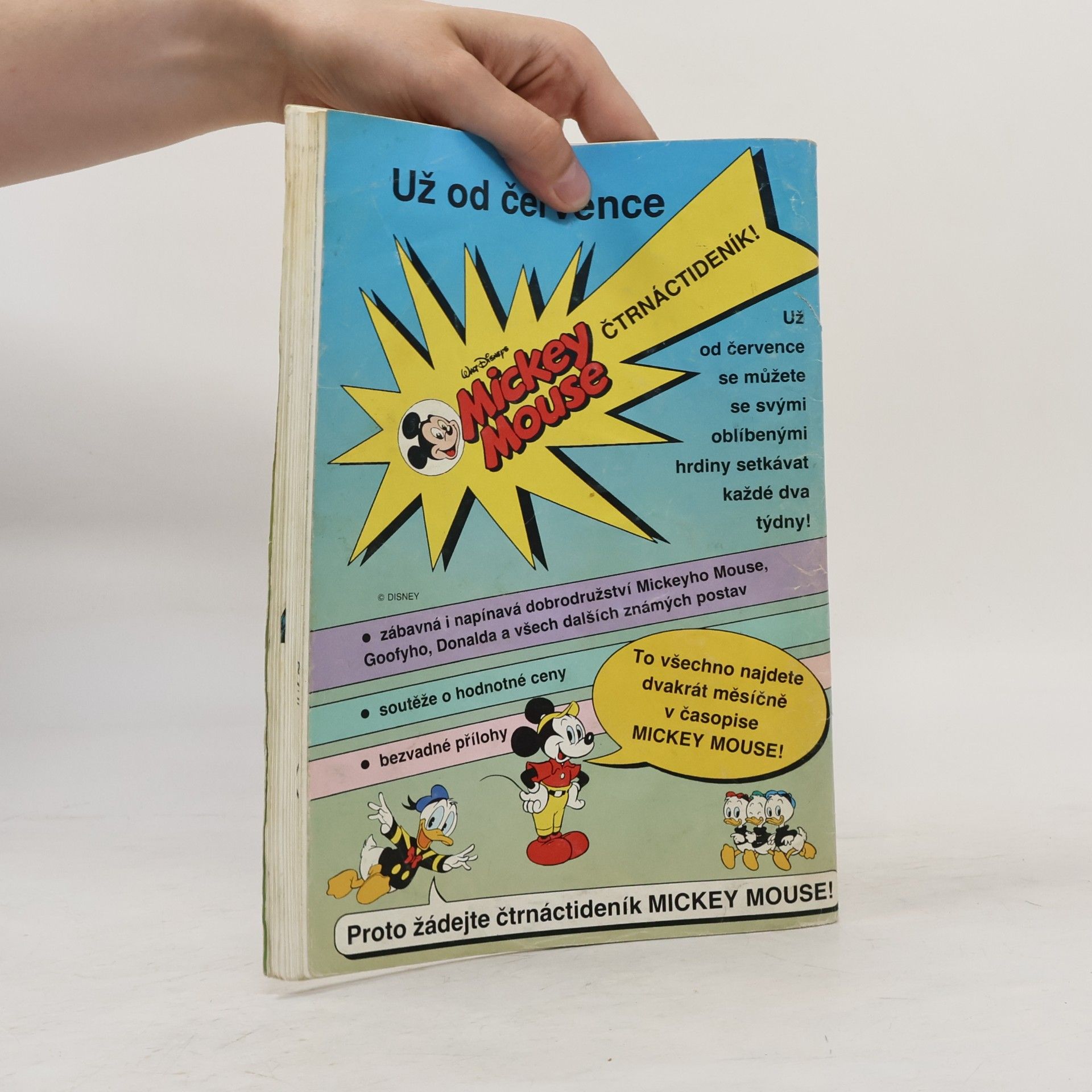 Kolektiv autorů Duck Tales 6/93. Tajemství sopky