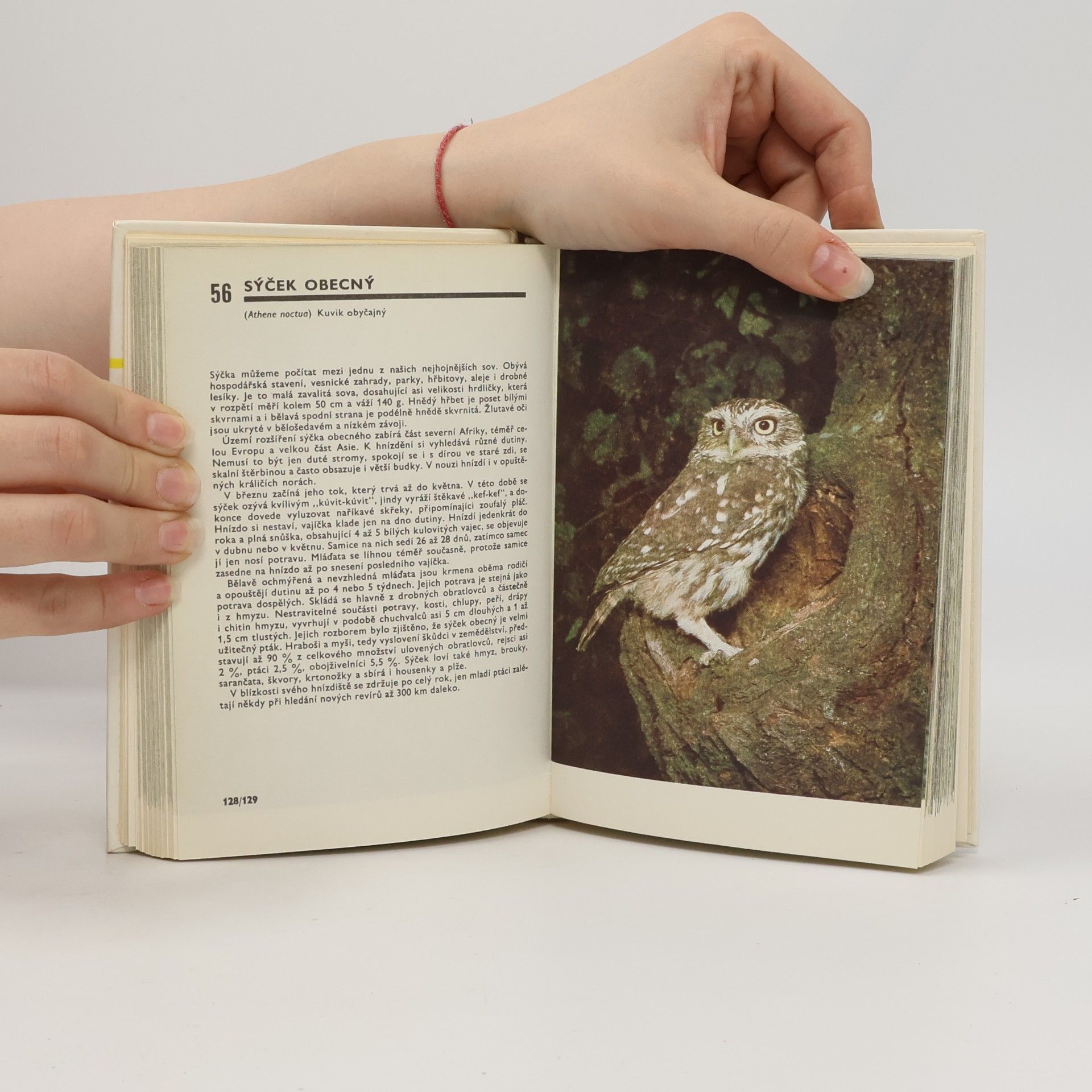 Miroslav Bouchner Kapesní atlas ptáků