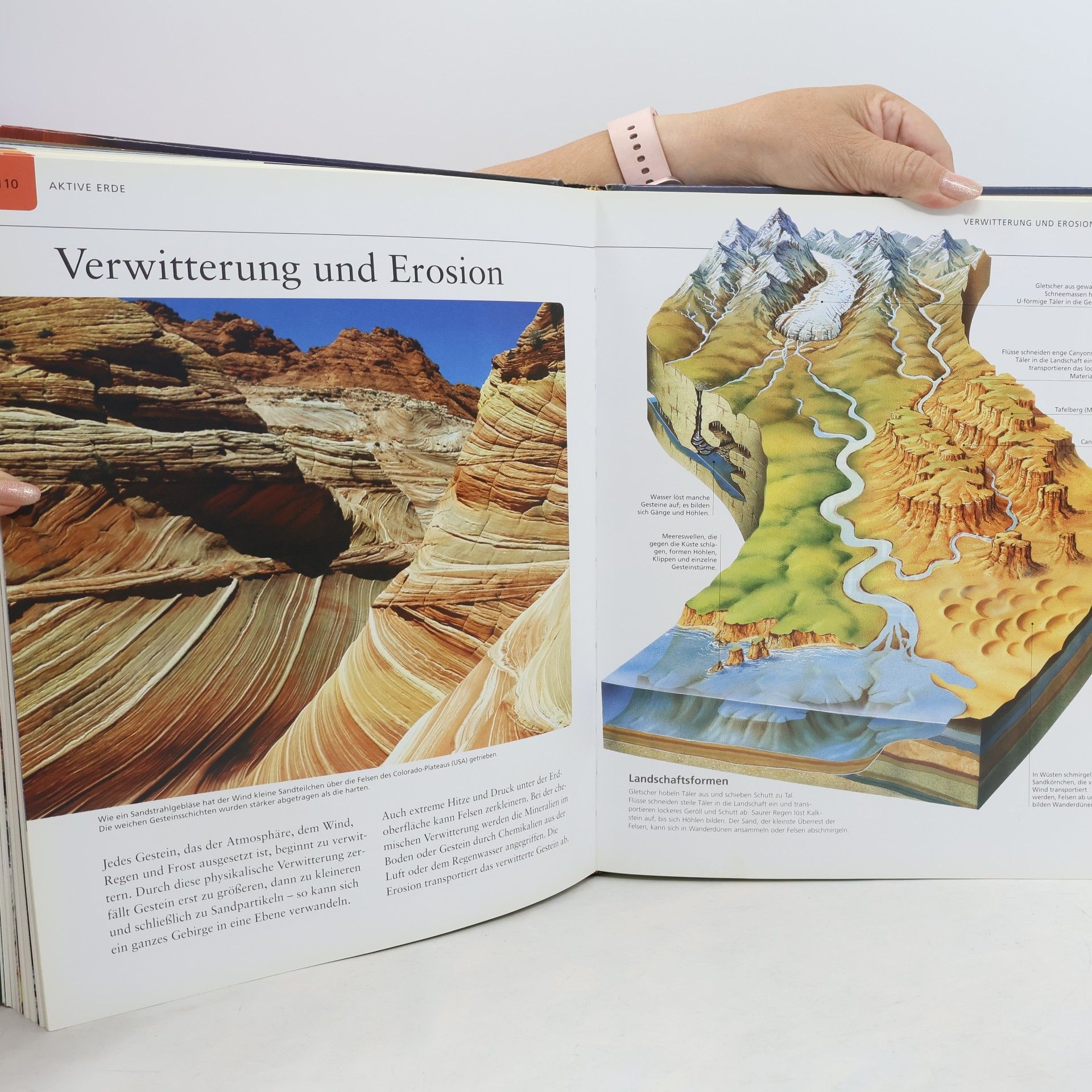 Sabine Zürn Das große Ravensburger Buch der Erde