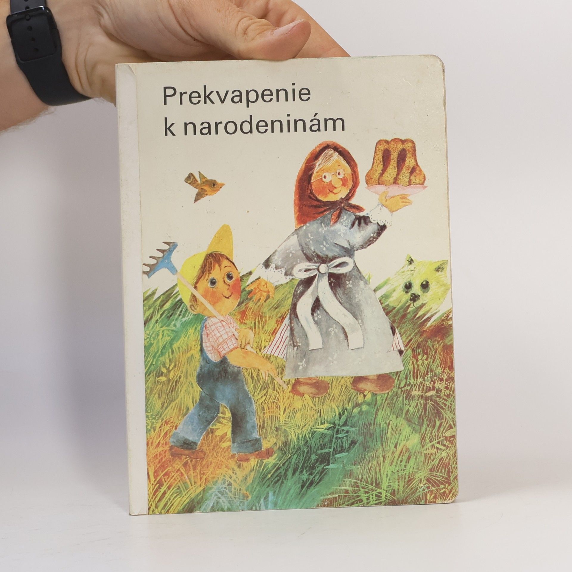 Erika Nerger Prekvapenie k narodeninám