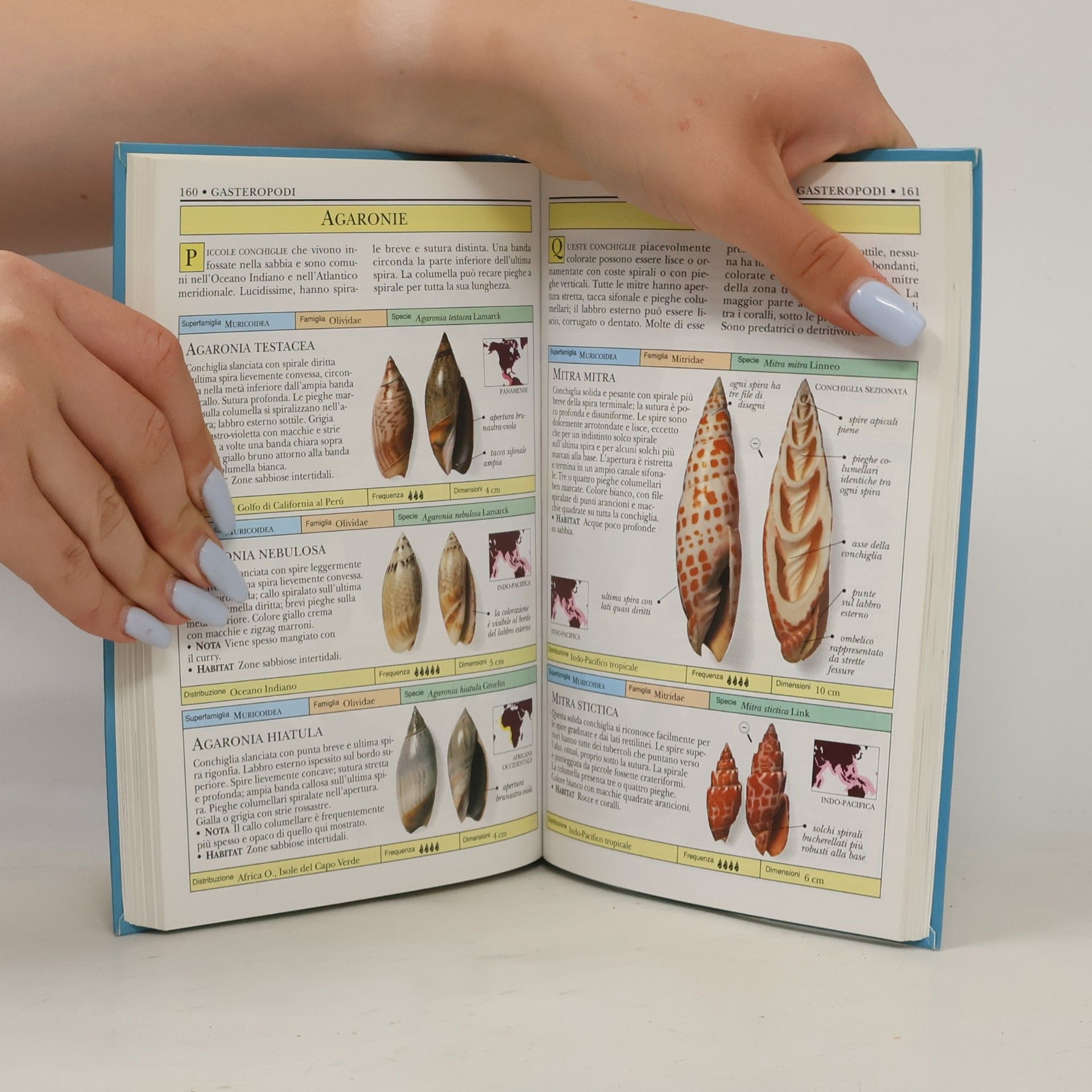 AA.VV. La Biblioteca della Natura 19. Conchiglie
