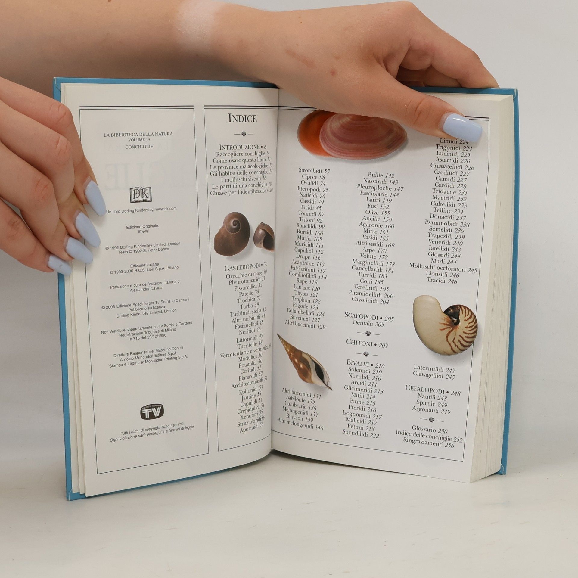 AA.VV. La Biblioteca della Natura 19. Conchiglie