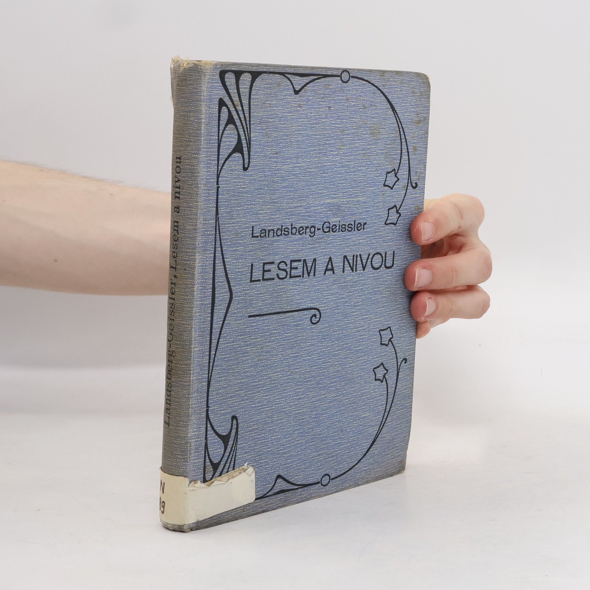 Bernard Landsberg Lesem a nivou
