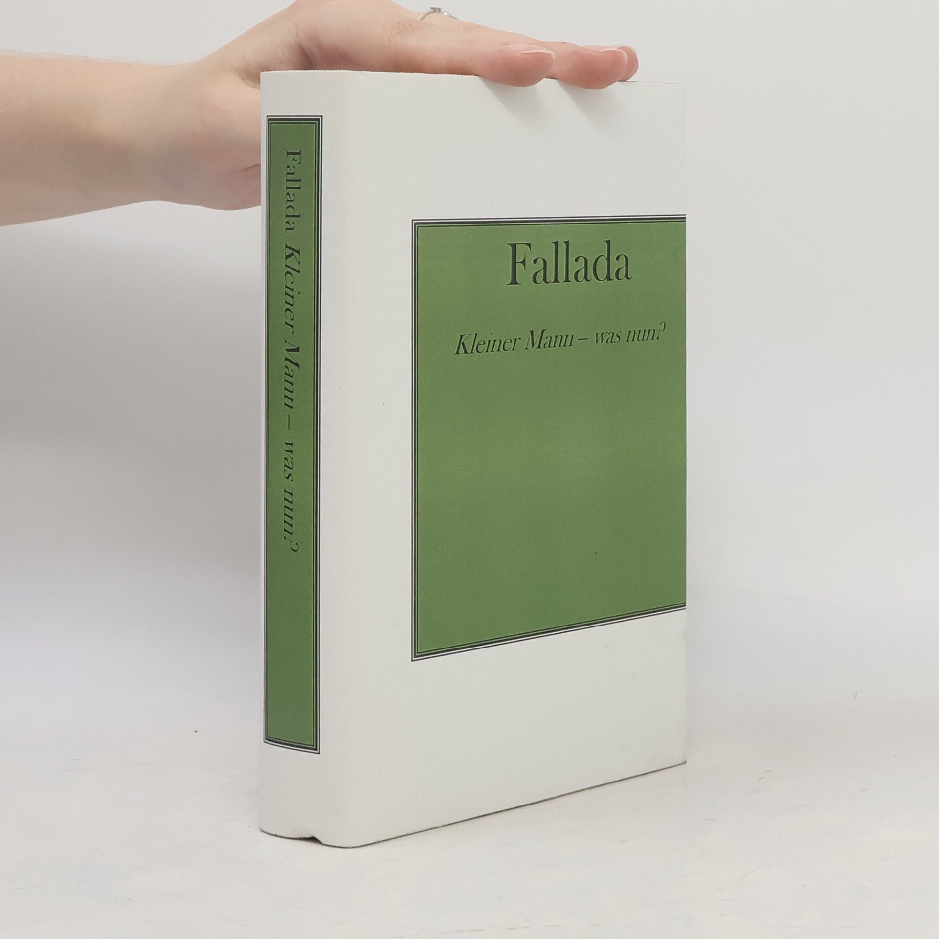 Hans Fallada Kleiner Mann - was nun?