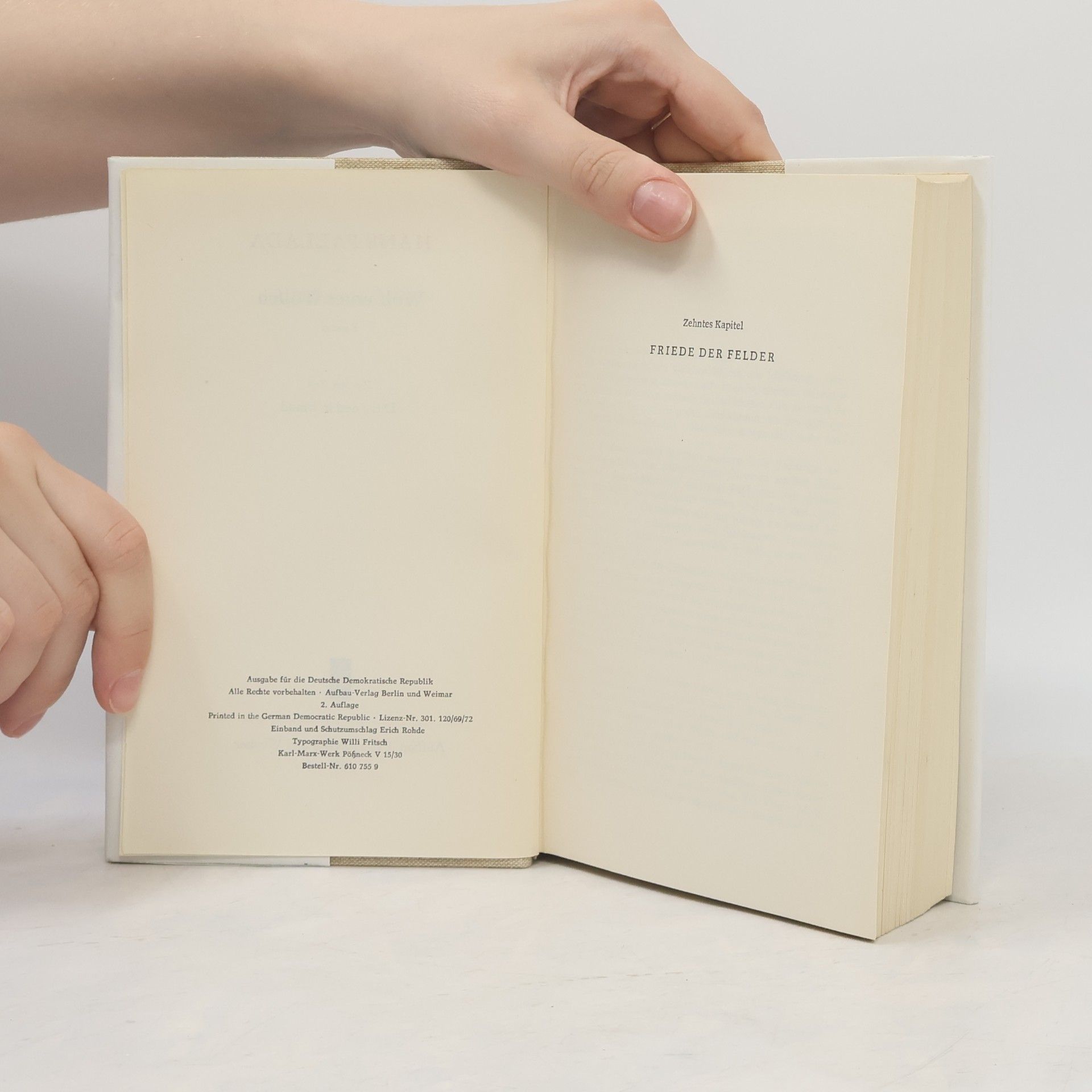 Hans Fallada Wolf unter Wölfen II.