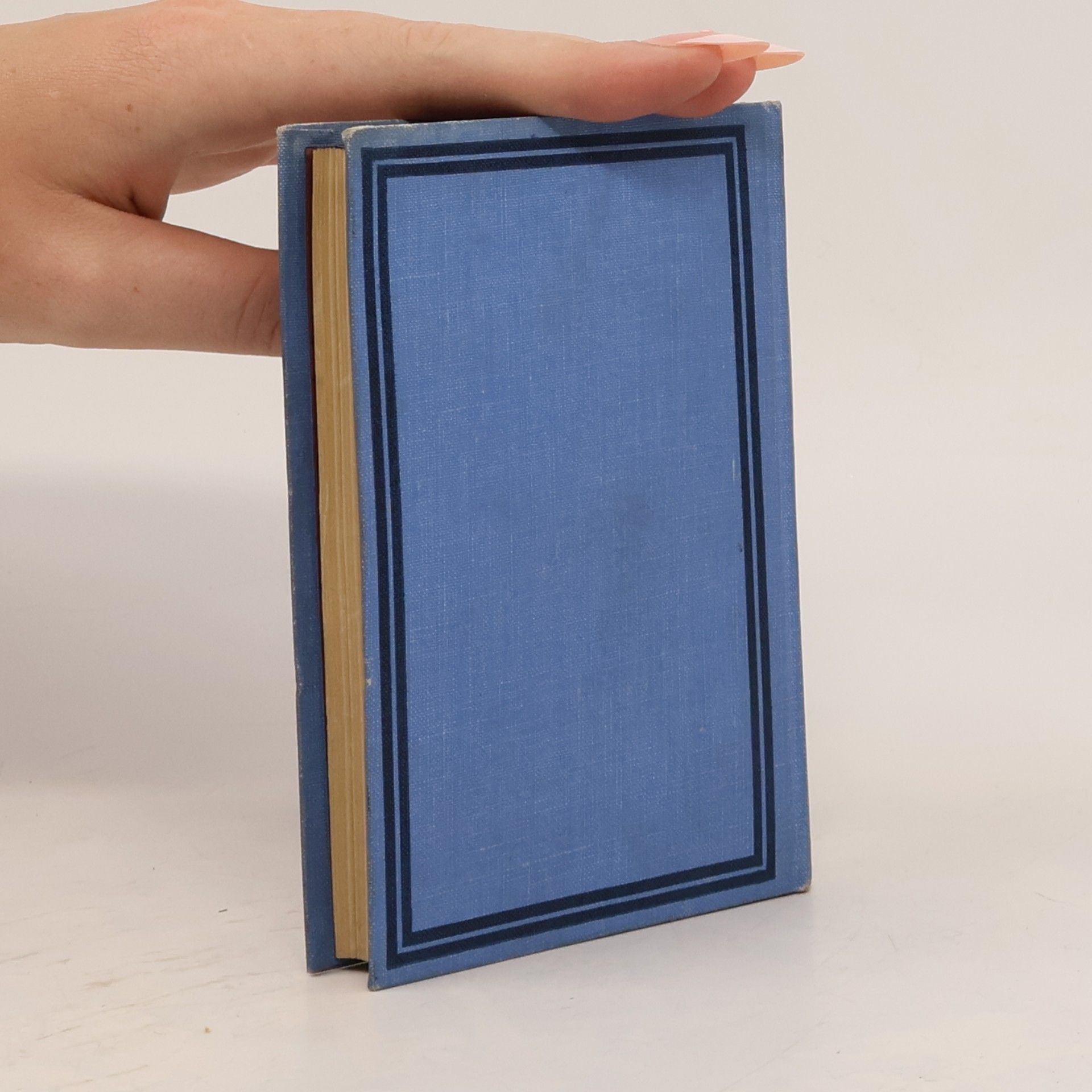 Autorenkollektiv Das Nibelungenlied