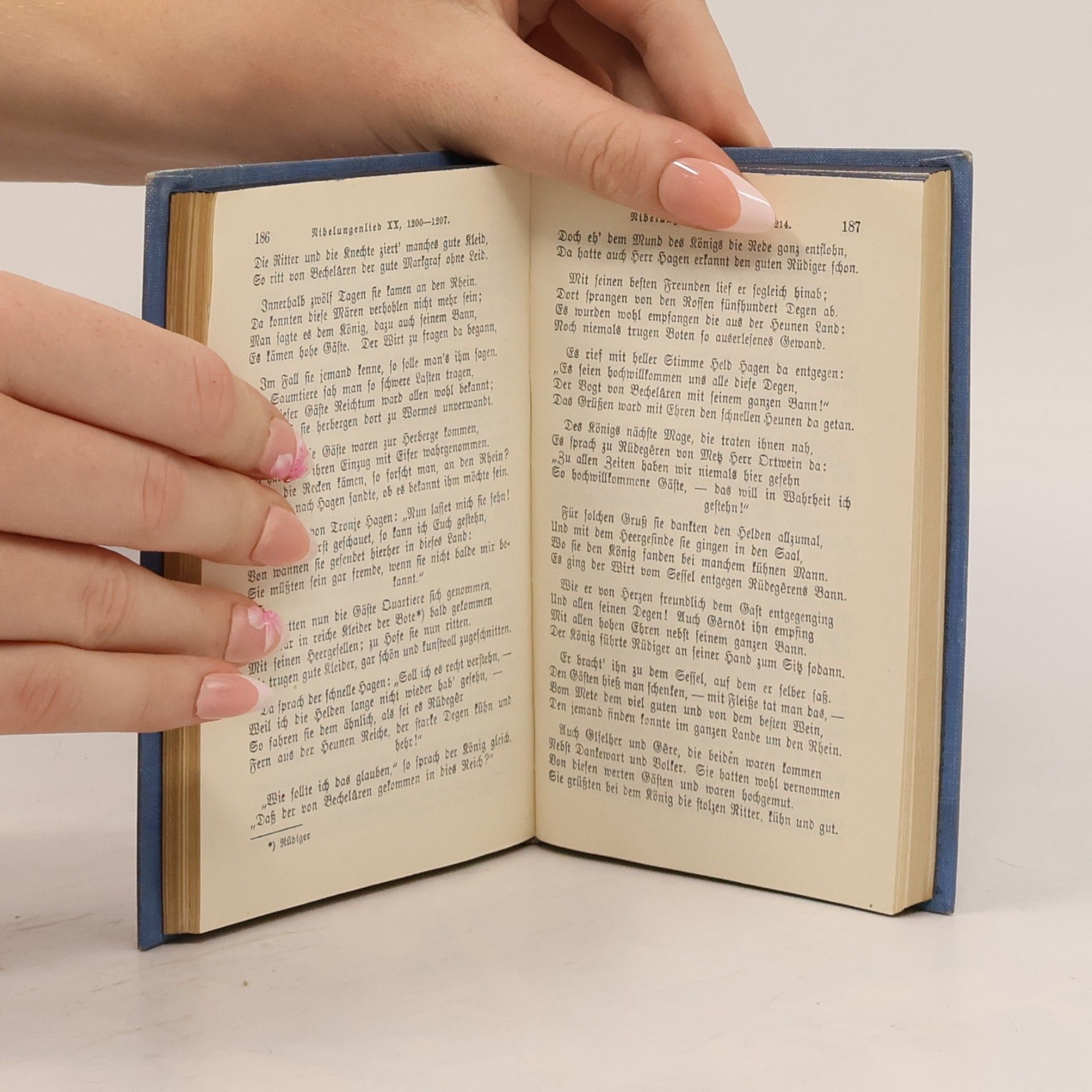 Autorenkollektiv Das Nibelungenlied