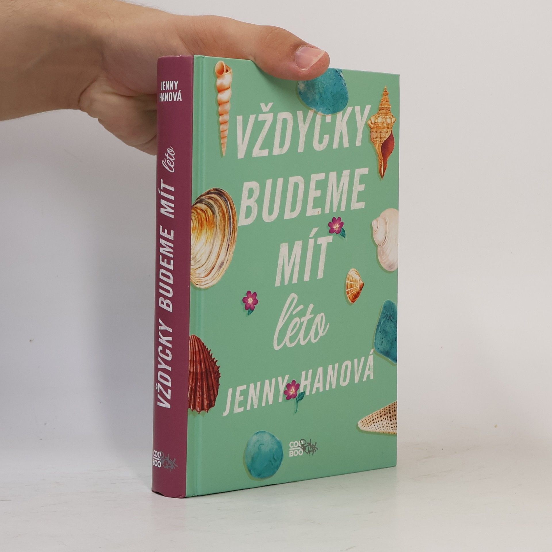 Jenny Han Vždycky budeme mít léto