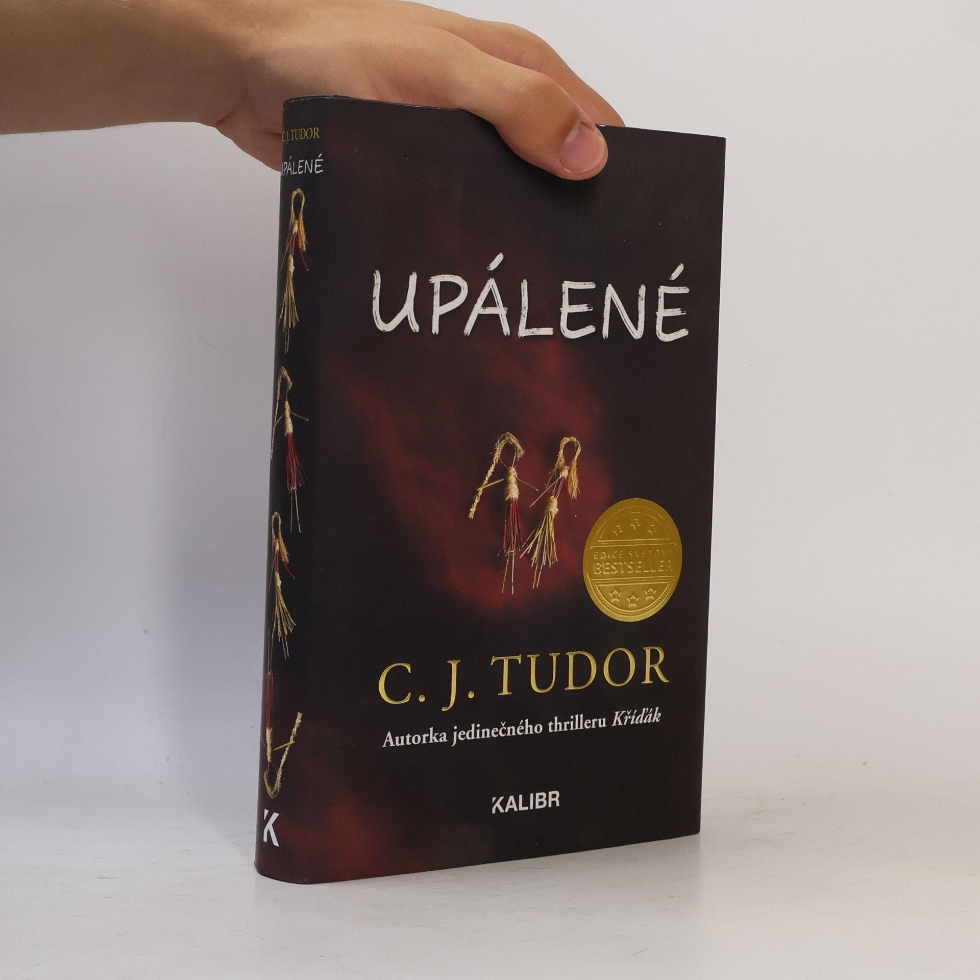 C. J. Tudor Upálené