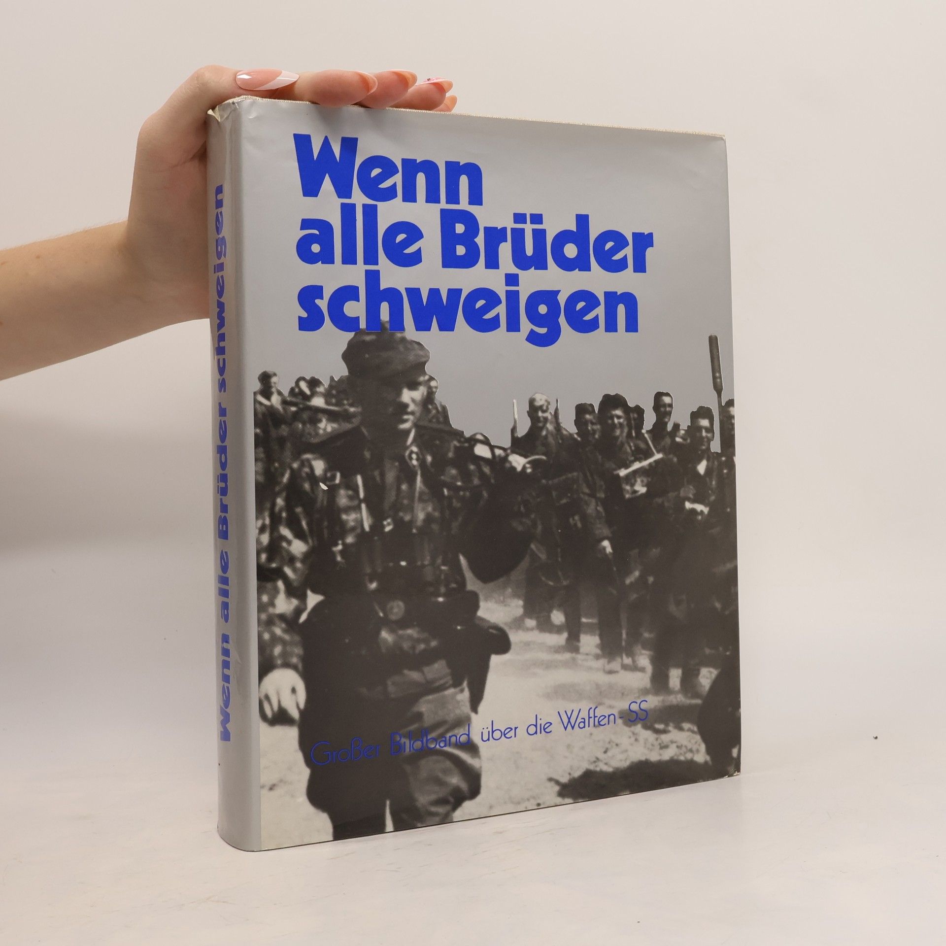 Kolektiv autorů Wenn alle Brüder schweigen