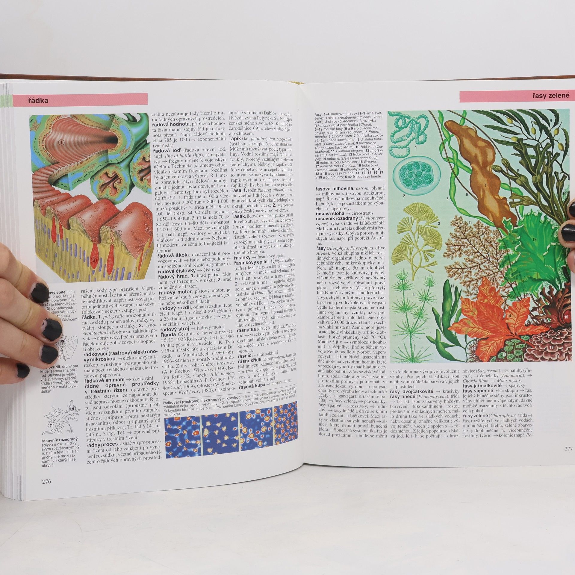 Various authors Universum. Všeobecná encyklopedie 8. R-Sp