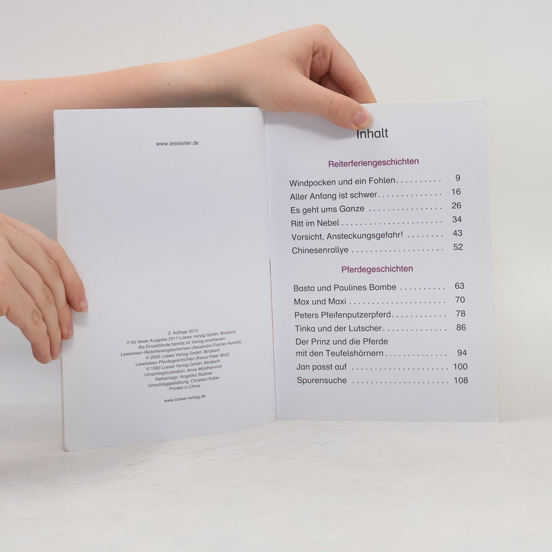 Autorenkollektiv Pferdegeschichten Reiterferiengeschichten