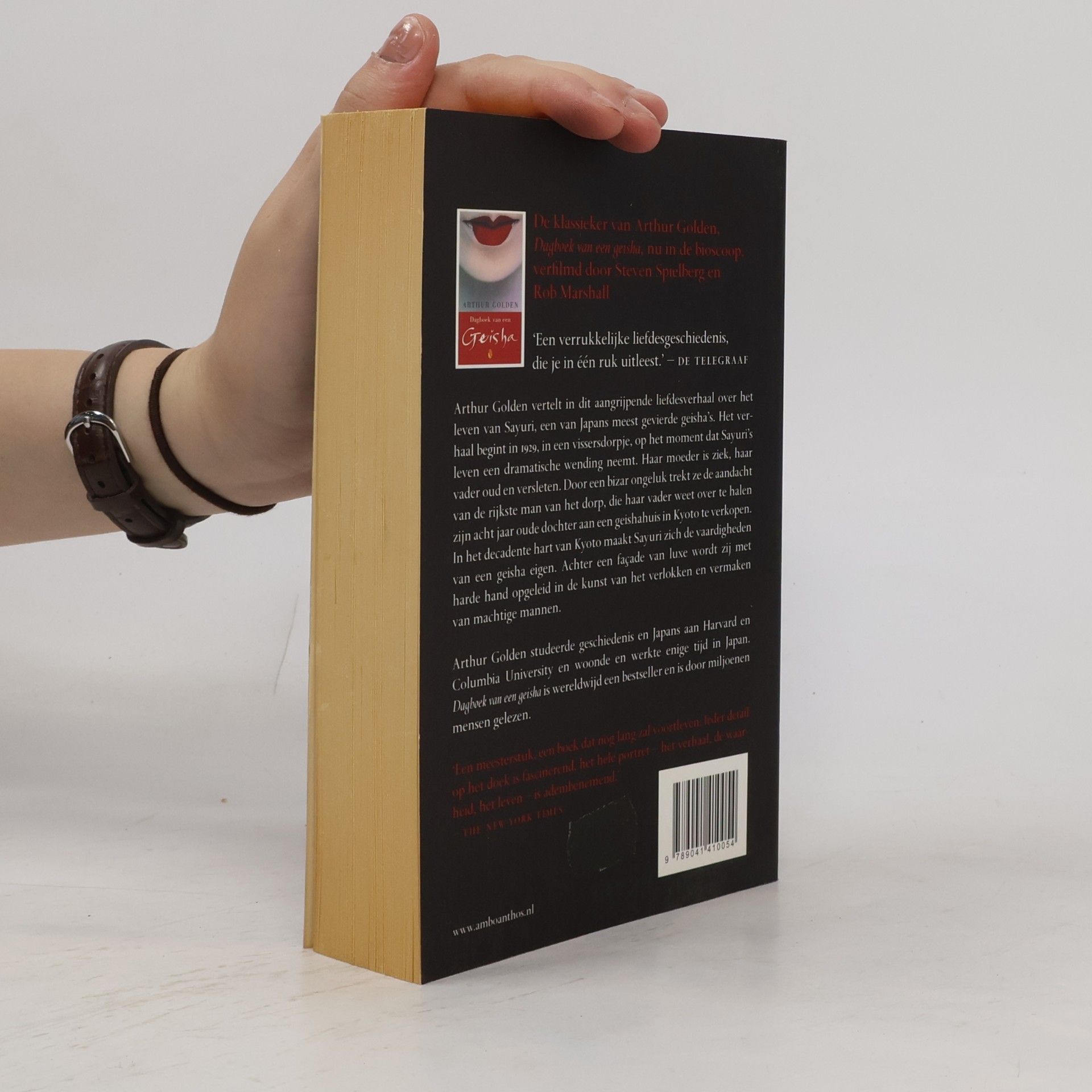 Arthur Golden Dagboek van een Geisha