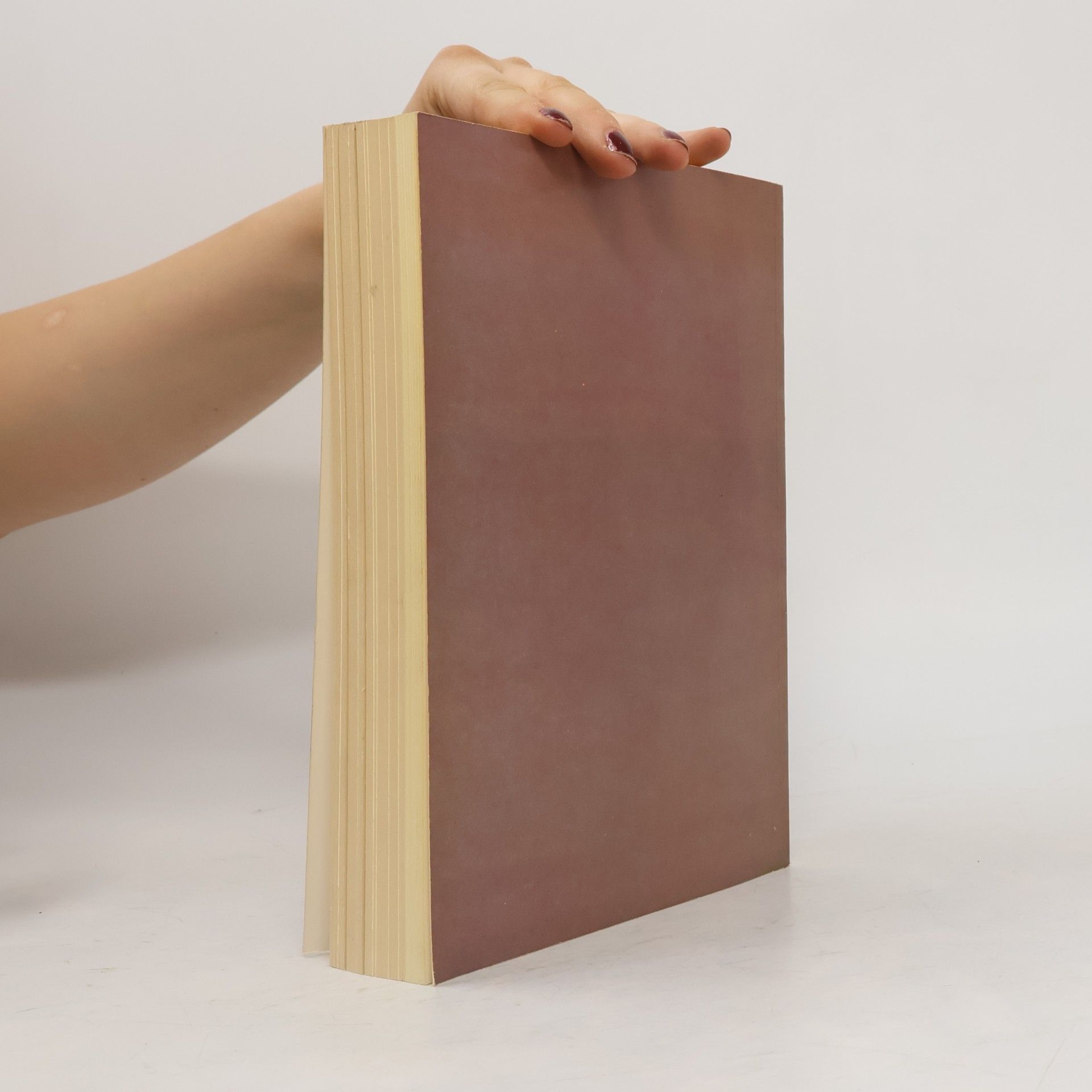 Autorenkollektiv Kunst und Kultur im Weserraum 800 - 1600